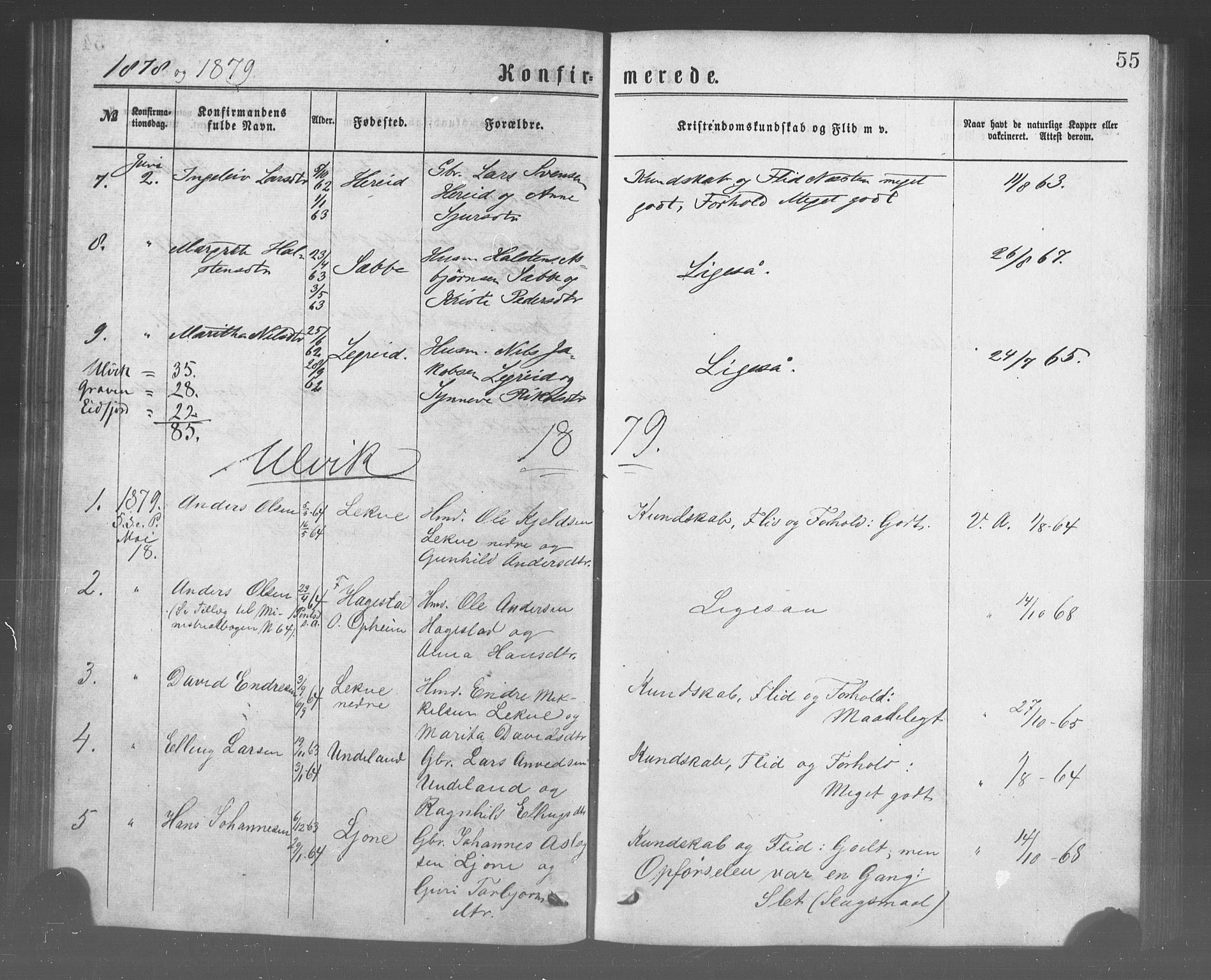 Ulvik sokneprestembete, SAB/A-78801/H/Haa: Parish register (official) no. A 17, 1873-1891, p. 55