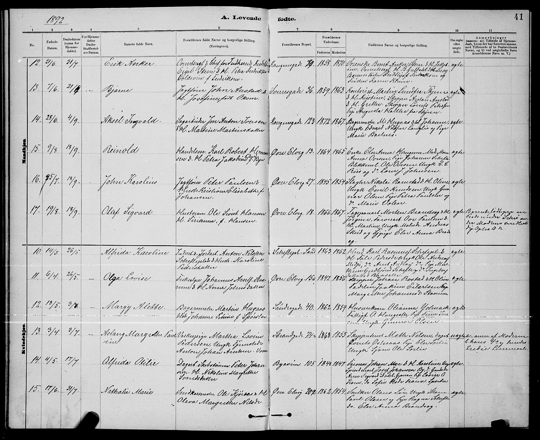 Ministerialprotokoller, klokkerbøker og fødselsregistre - Nord-Trøndelag, AV/SAT-A-1458/739/L0374: Parish register (copy) no. 739C02, 1883-1898, p. 41