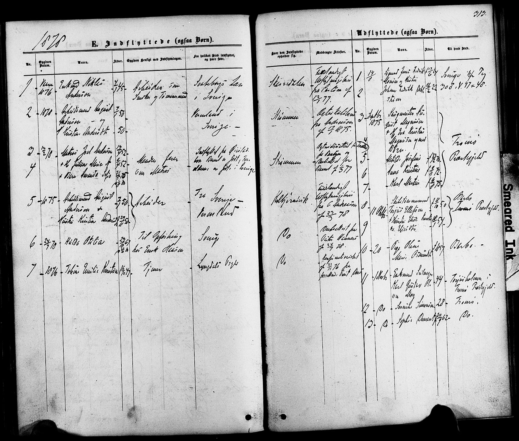 Hisøy sokneprestkontor, AV/SAK-1111-0020/F/Fa/L0002: Parish register (official) no. A 2, 1872-1880, p. 313