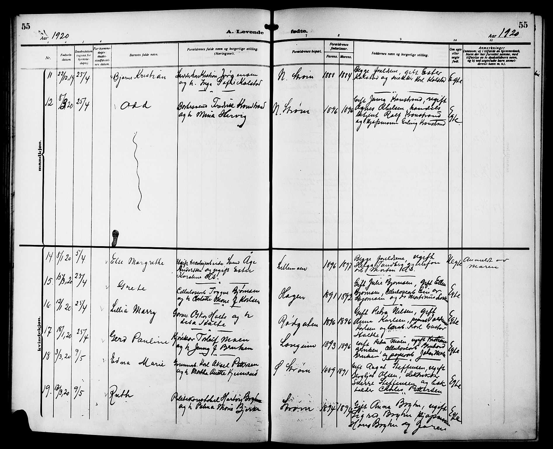 Strømsgodset kirkebøker, SAKO/A-324/G/Ga/L0003: Parish register (copy) no. 3, 1911-1926, p. 55