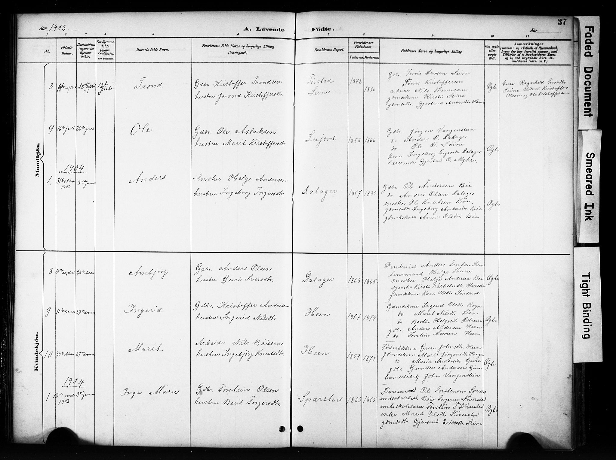 Vang prestekontor, Valdres, SAH/PREST-140/H/Hb/L0006: Parish register (copy) no. 6, 1893-1918, p. 37