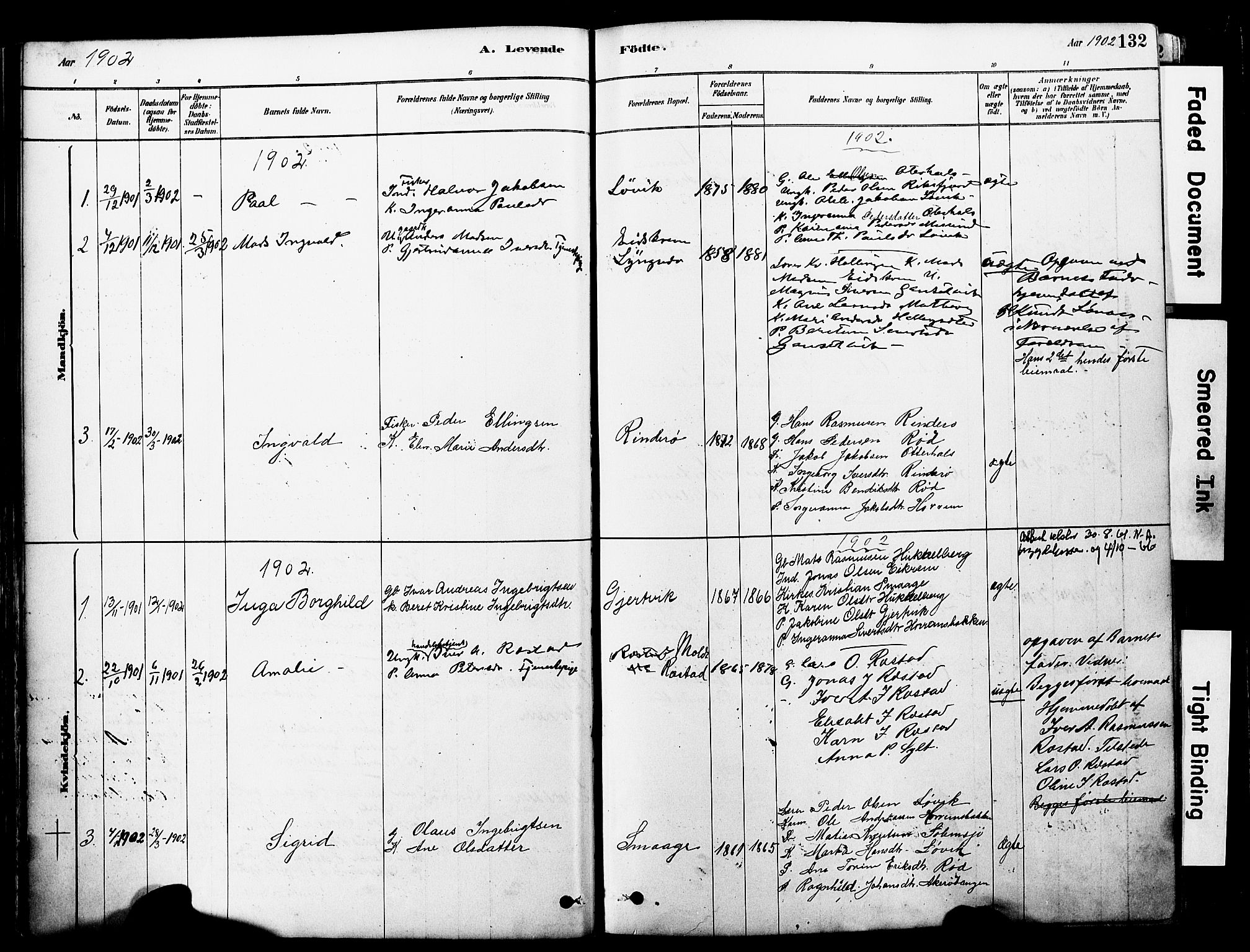 Ministerialprotokoller, klokkerbøker og fødselsregistre - Møre og Romsdal, SAT/A-1454/560/L0721: Parish register (official) no. 560A05, 1878-1917, p. 132