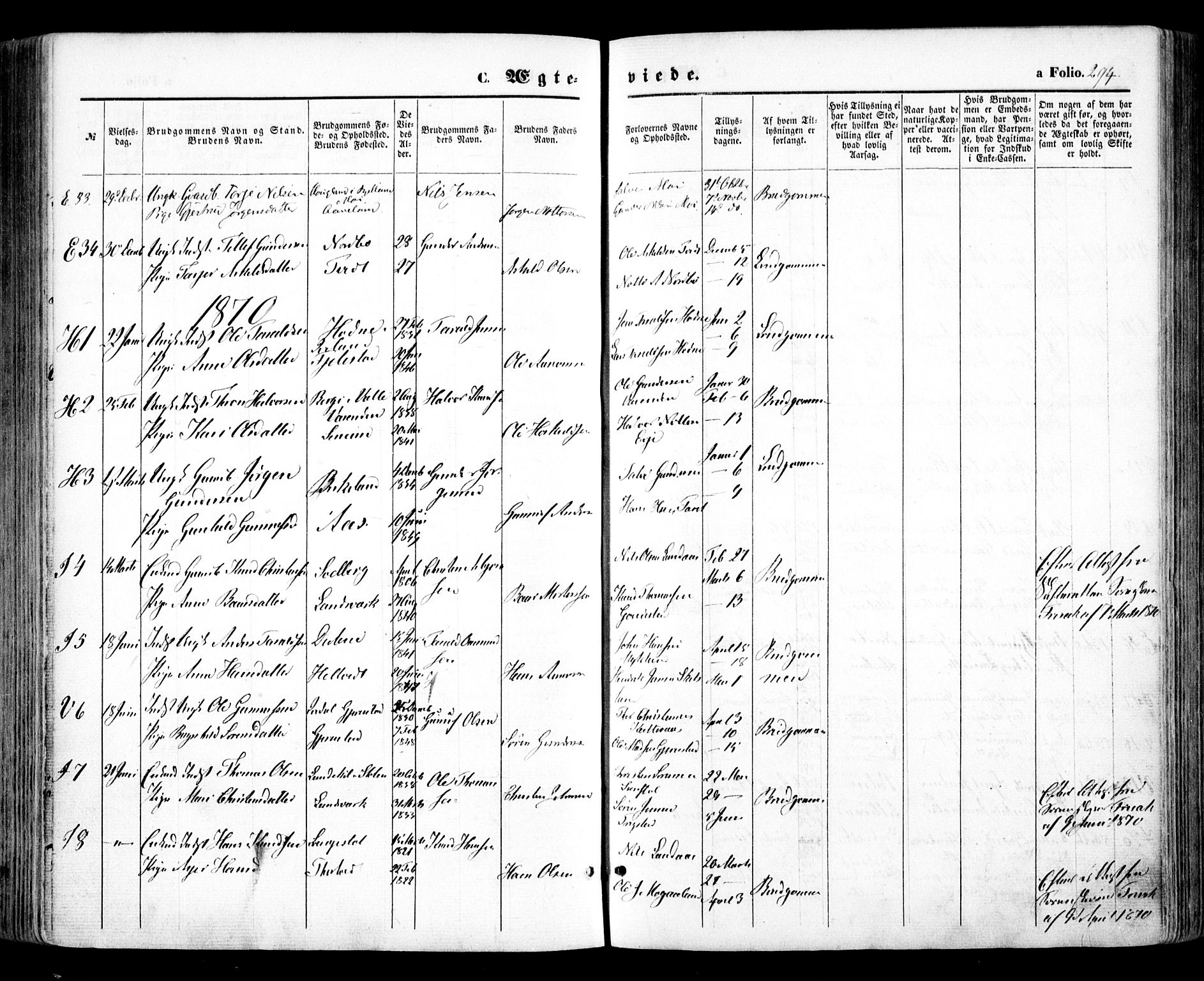 Evje sokneprestkontor, SAK/1111-0008/F/Fa/Faa/L0006: Parish register (official) no. A 6, 1866-1884, p. 294