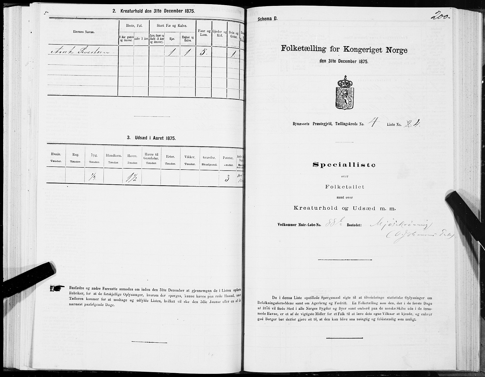 SAT, 1875 census for 1655P Byneset, 1875, p. 2200