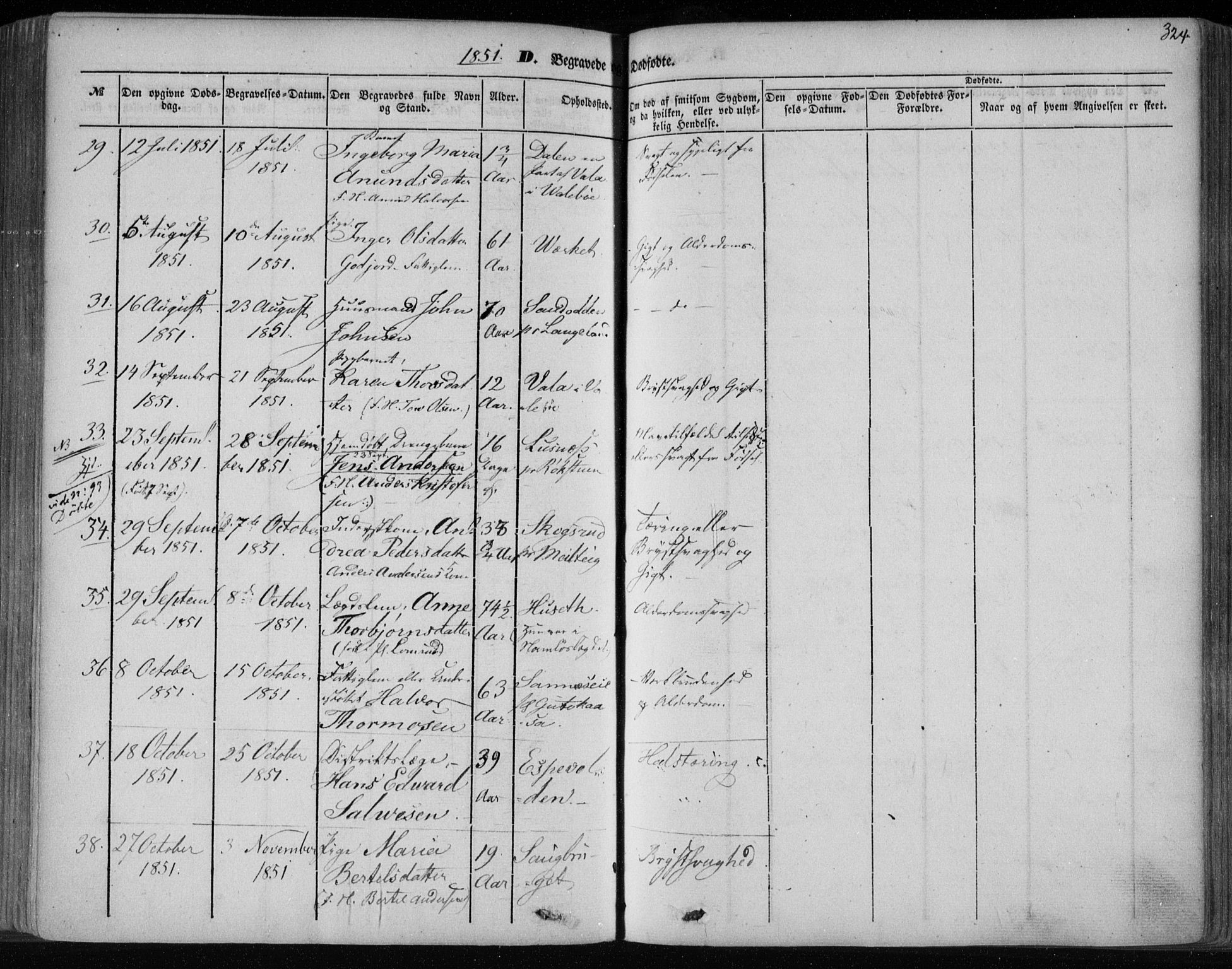 Holla kirkebøker, AV/SAKO-A-272/F/Fa/L0005: Parish register (official) no. 5, 1849-1860, p. 324