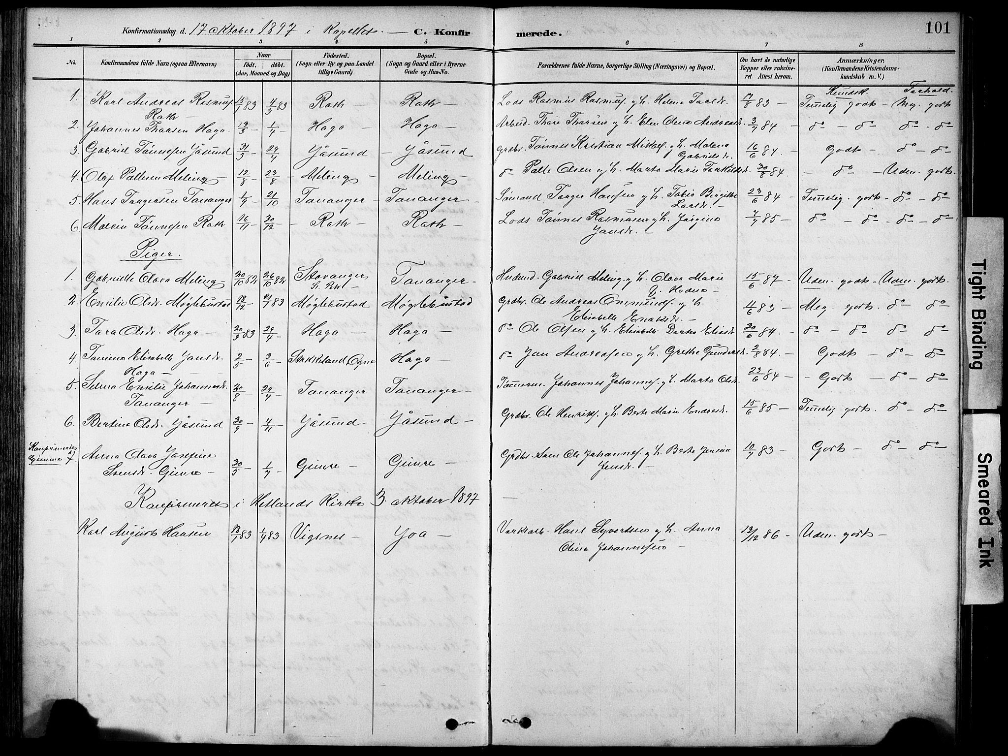 Håland sokneprestkontor, AV/SAST-A-101802/001/30BA/L0012: Parish register (official) no. A 11, 1889-1900, p. 101