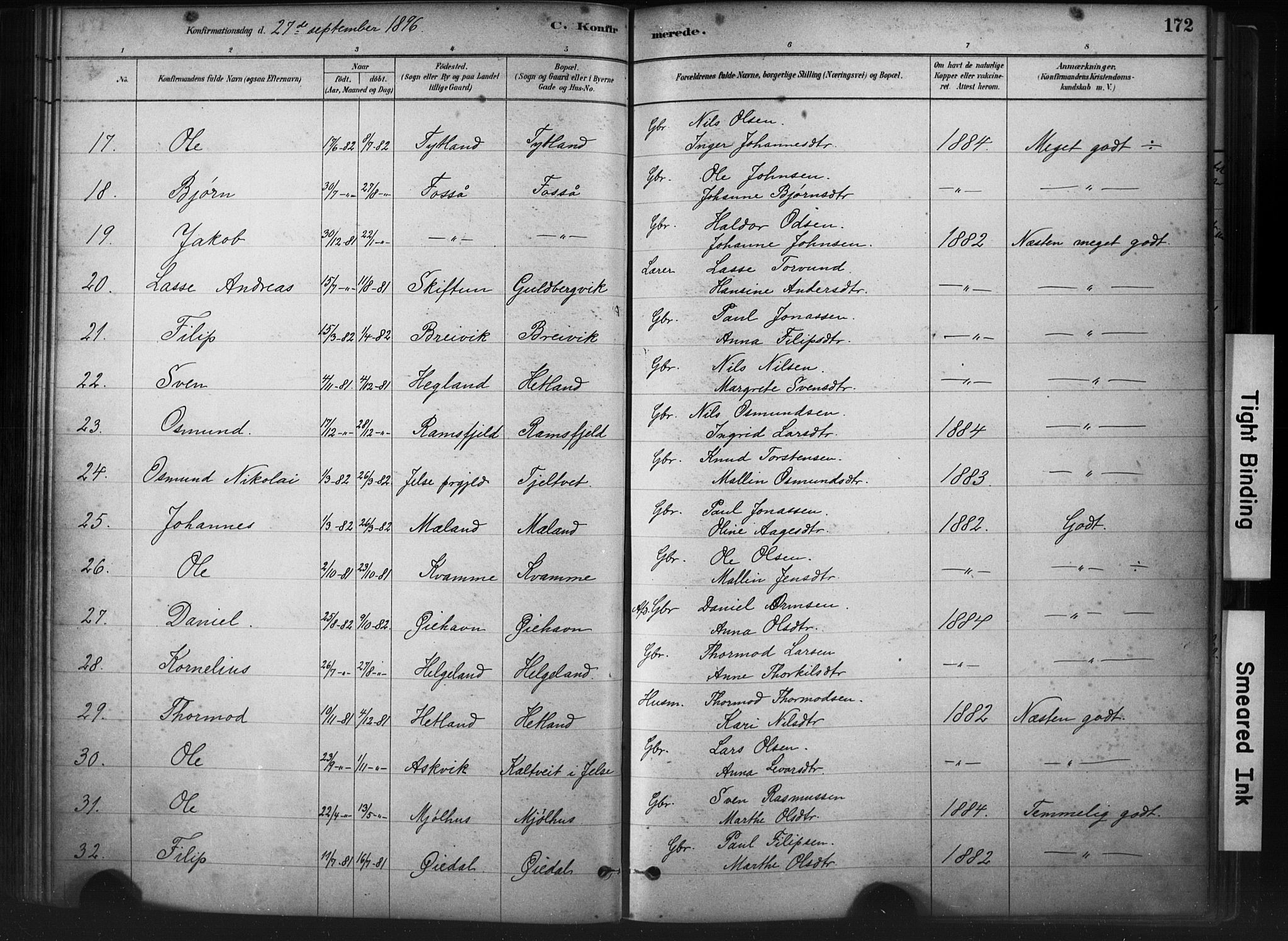 Hjelmeland sokneprestkontor, AV/SAST-A-101843/01/IV/L0014: Parish register (official) no. A 14, 1879-1900, p. 172