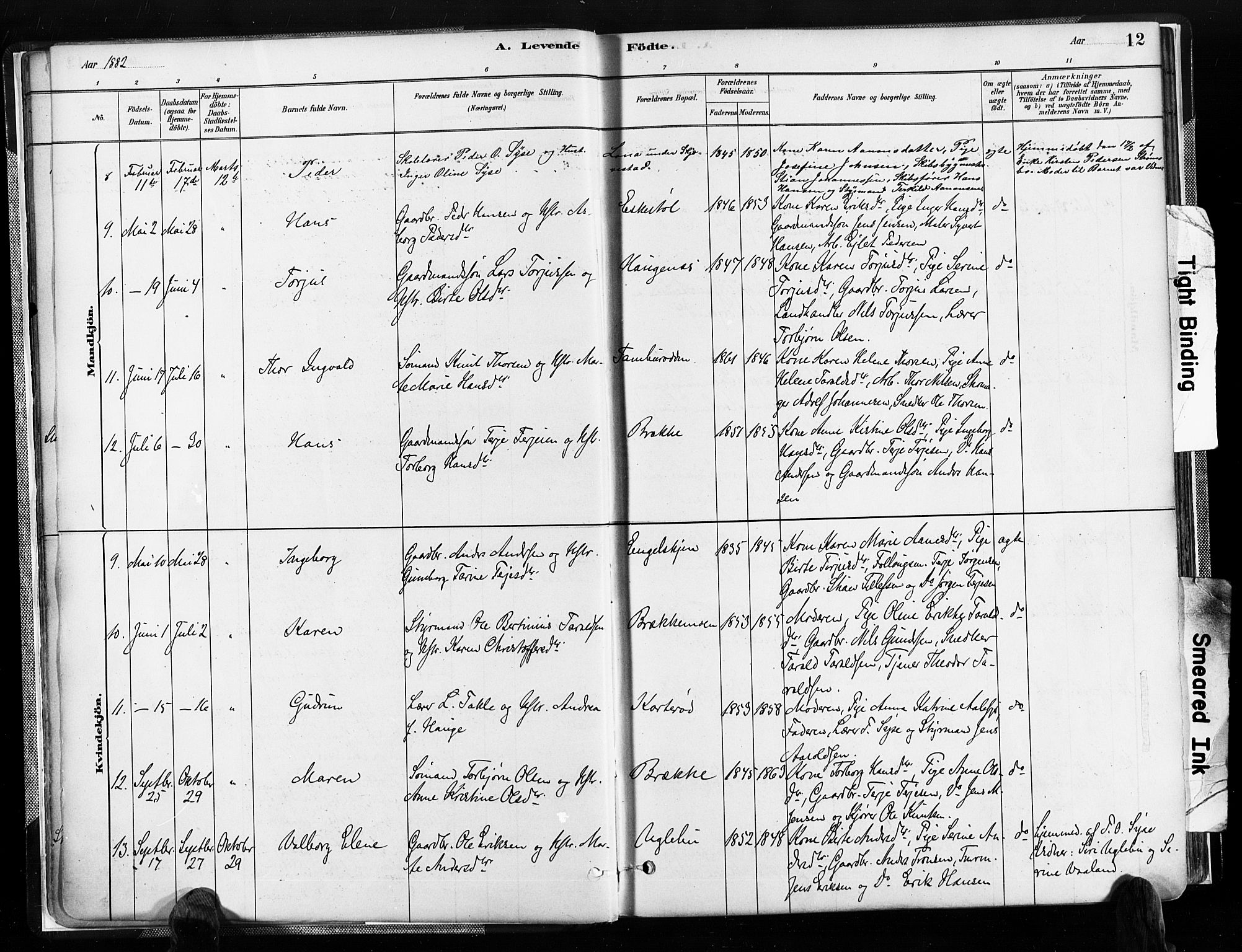 Austre Moland sokneprestkontor, AV/SAK-1111-0001/F/Fa/Faa/L0010: Parish register (official) no. A 10, 1880-1904, p. 12