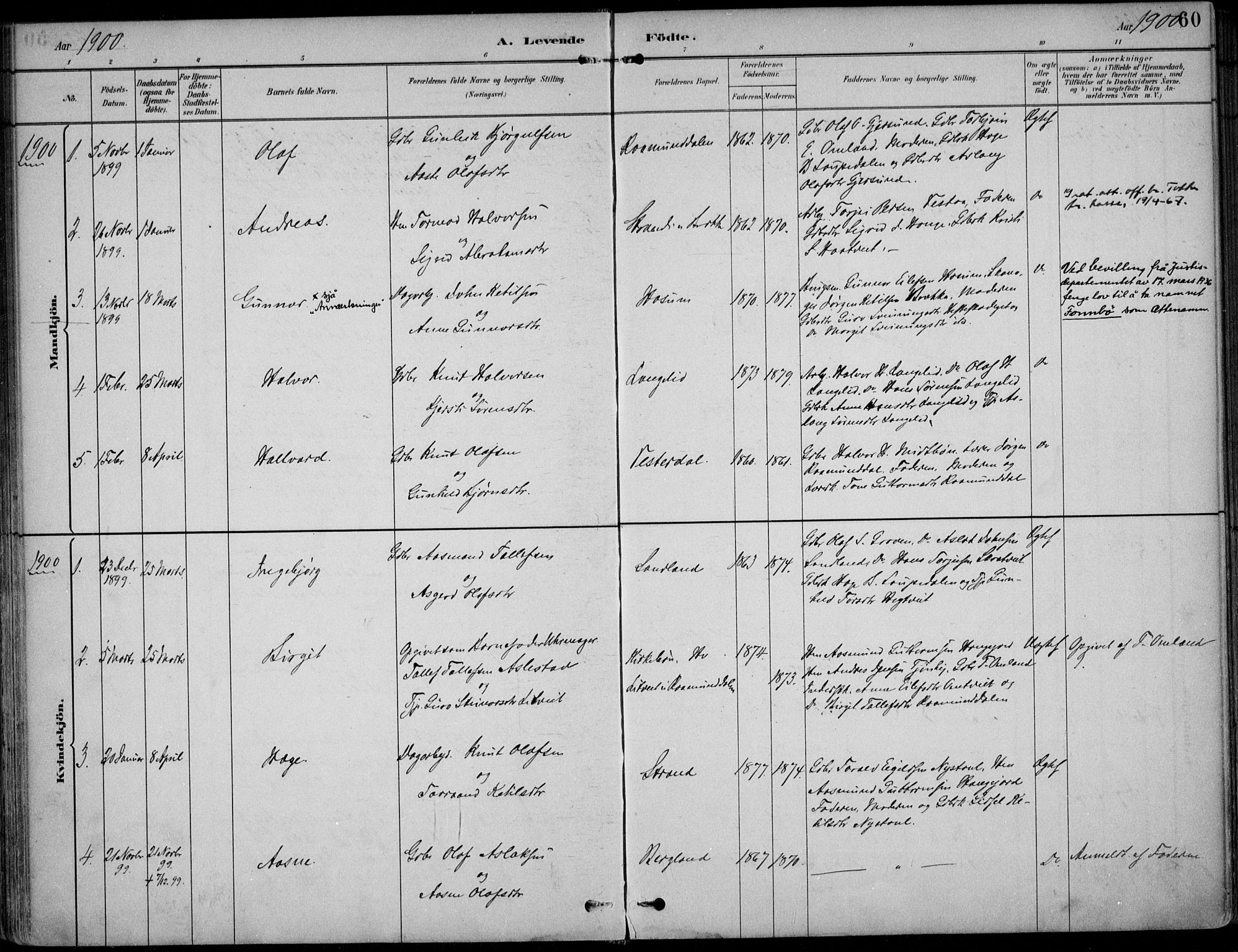 Kviteseid kirkebøker, AV/SAKO-A-276/F/Fb/L0002: Parish register (official) no. II 2, 1882-1916, p. 60