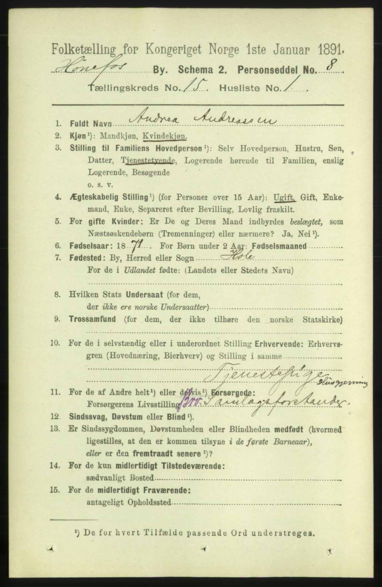 RA, 1891 census for 0601 Hønefoss, 1891, p. 1722