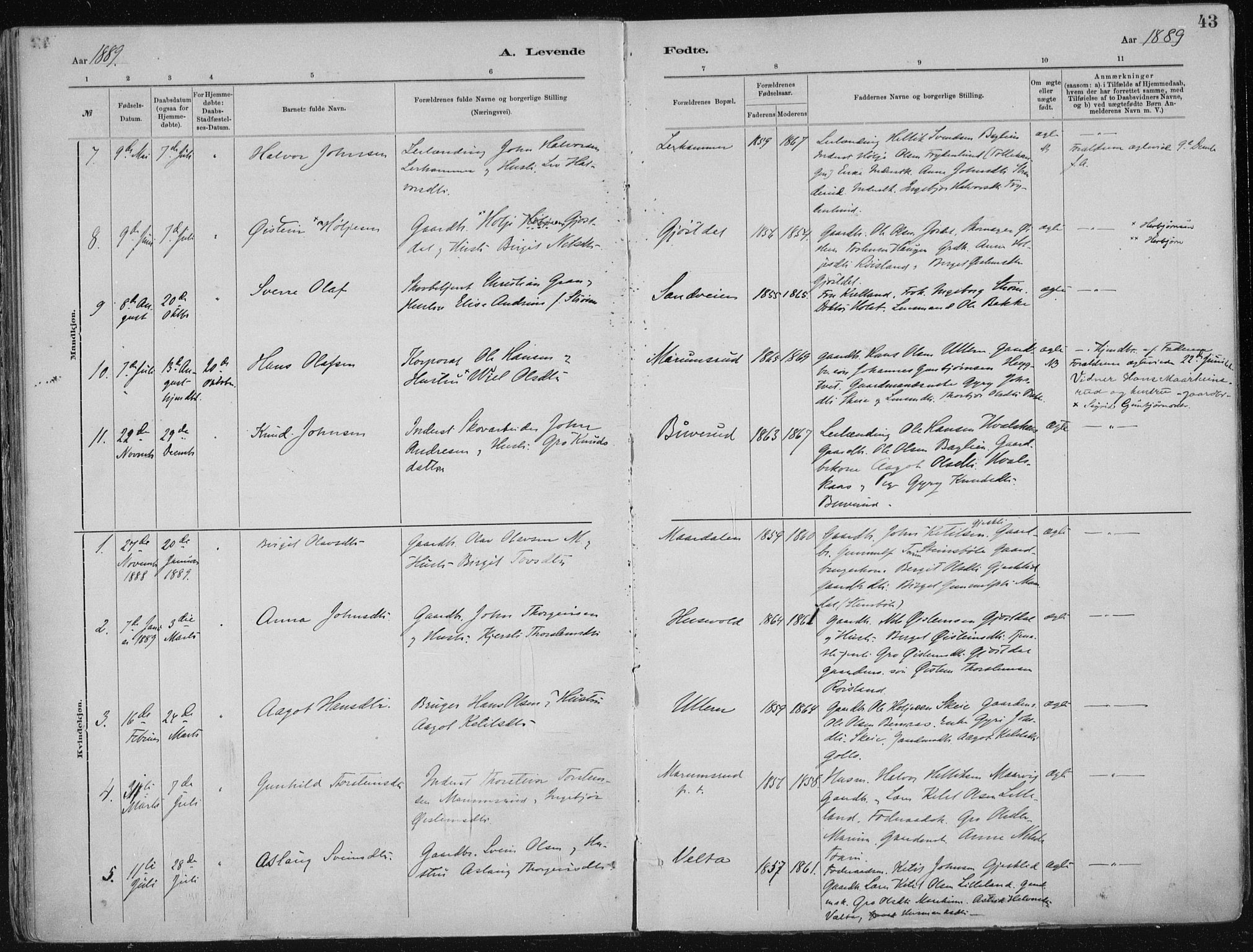 Tinn kirkebøker, AV/SAKO-A-308/F/Fa/L0007: Parish register (official) no. I 7, 1878-1922, p. 43