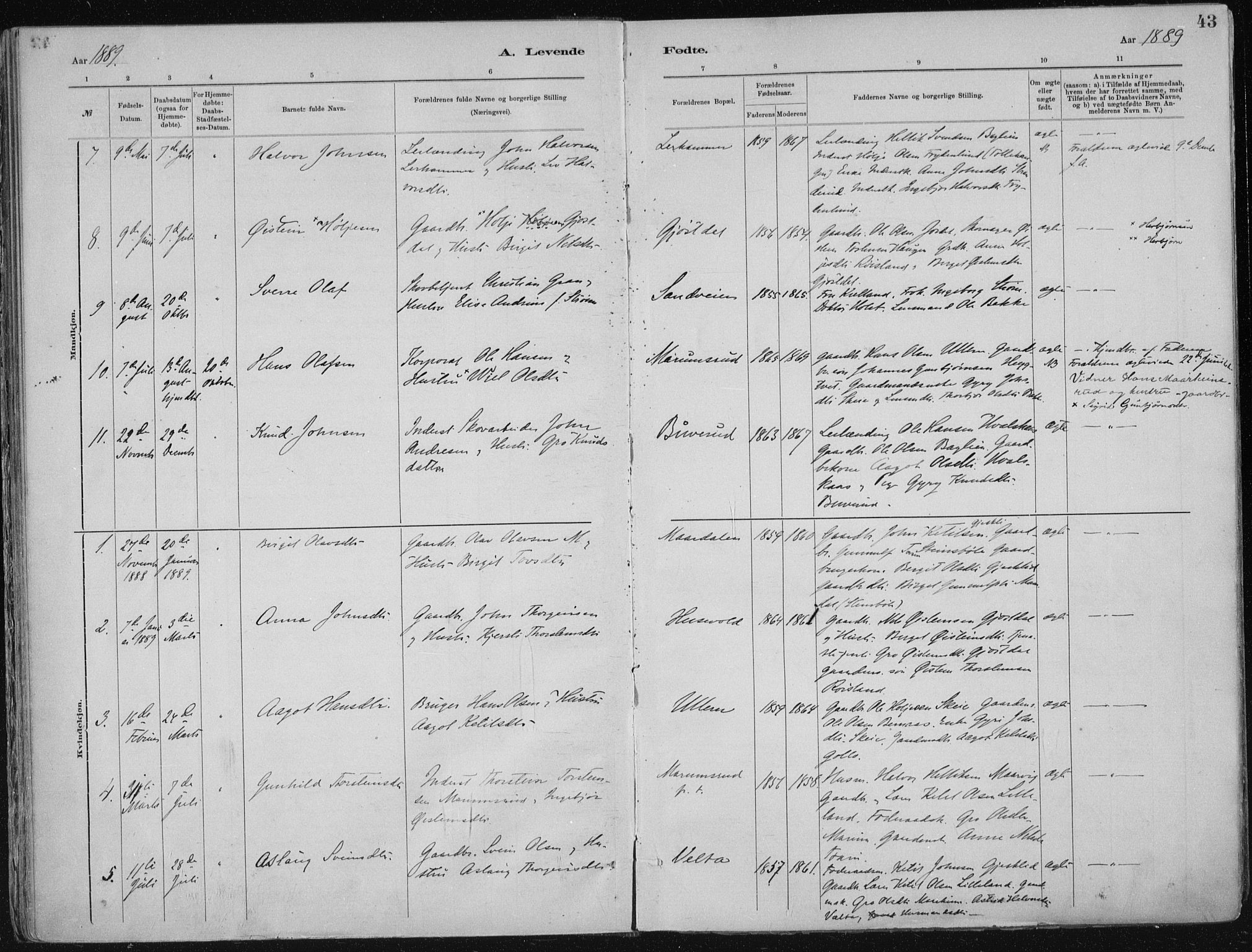 Tinn kirkebøker, SAKO/A-308/F/Fa/L0007: Parish register (official) no. I 7, 1878-1922, p. 43