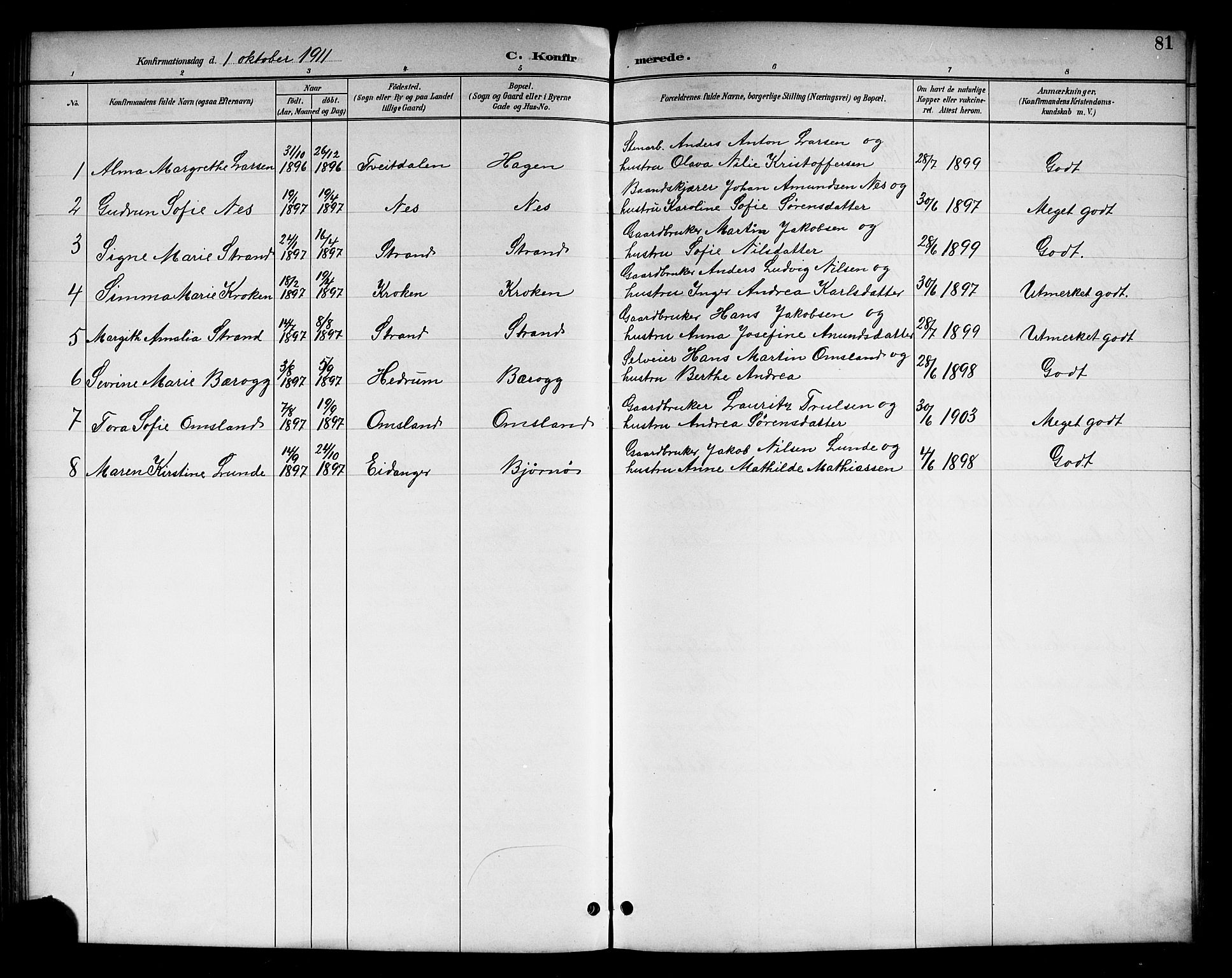 Brunlanes kirkebøker, AV/SAKO-A-342/G/Gc/L0002: Parish register (copy) no. III 2, 1891-1922, p. 81