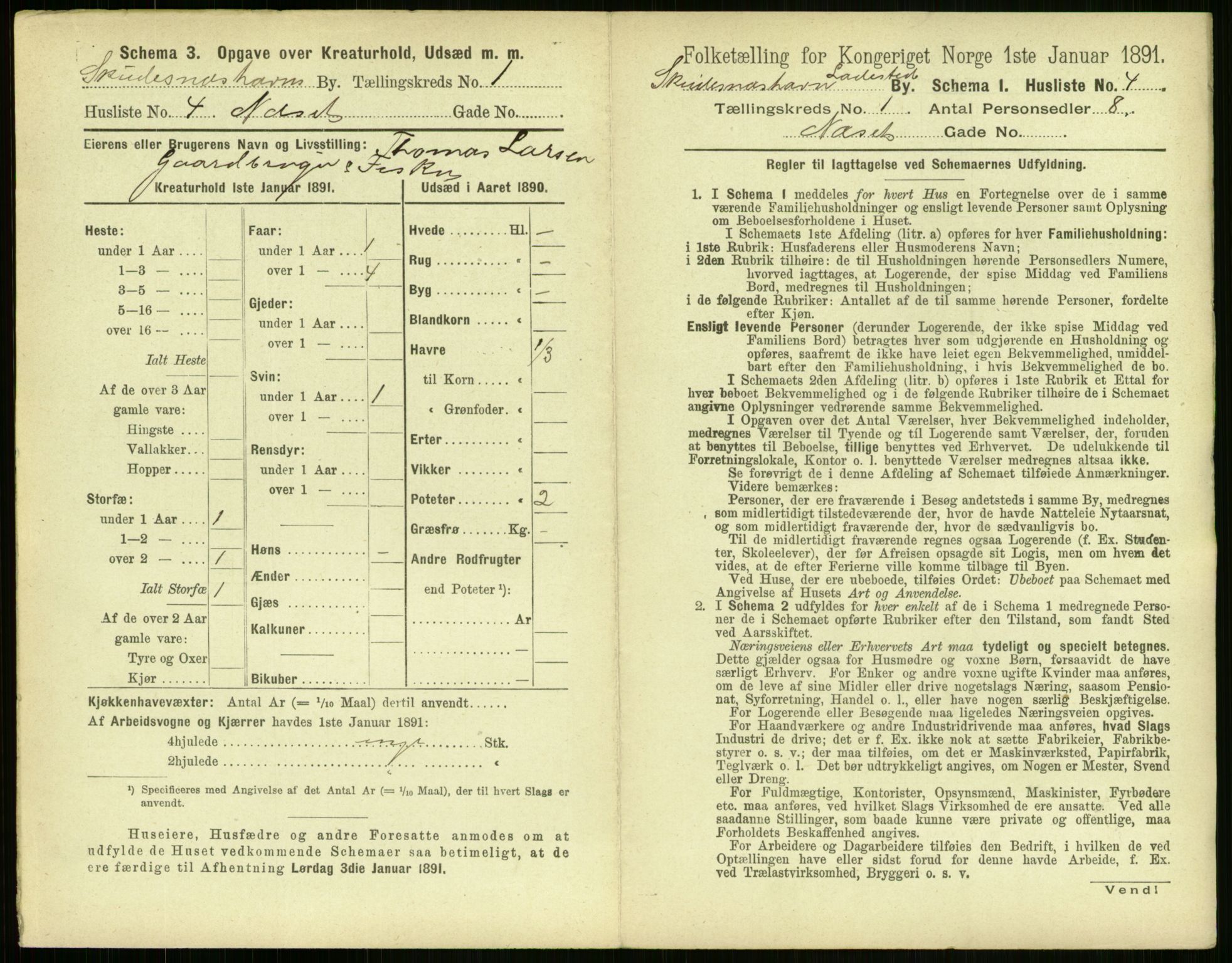 RA, 1891 census for 1104 Skudeneshavn, 1891, p. 22
