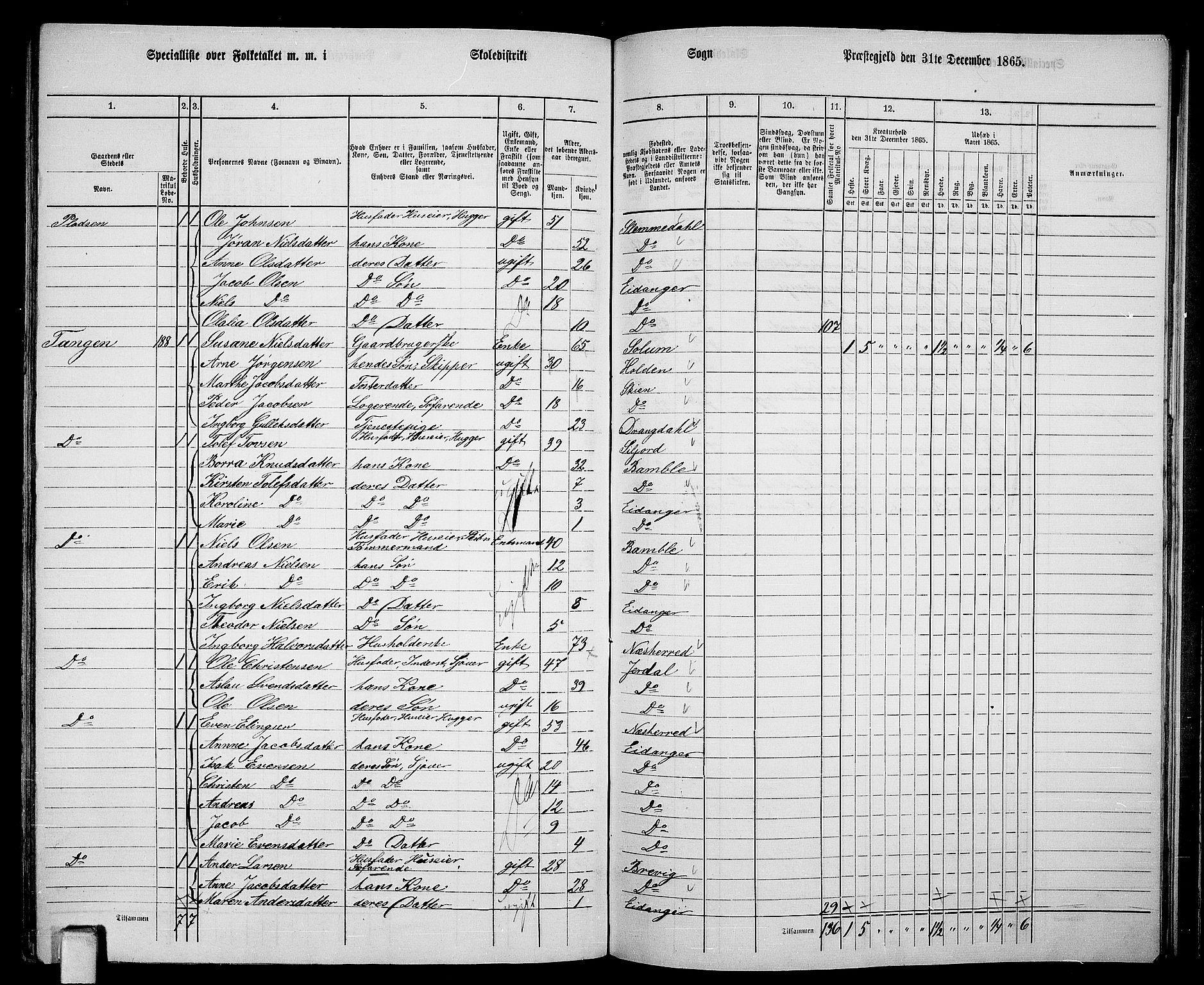 RA, 1865 census for Eidanger, 1865, p. 95