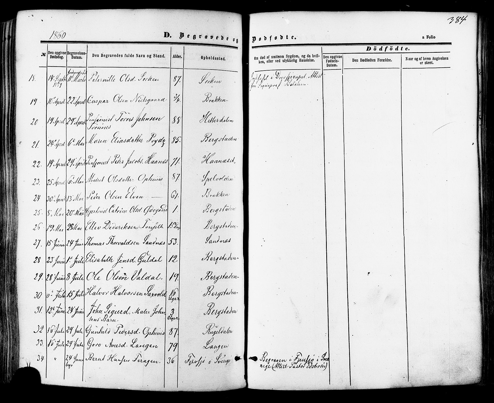 Ministerialprotokoller, klokkerbøker og fødselsregistre - Sør-Trøndelag, SAT/A-1456/681/L0932: Parish register (official) no. 681A10, 1860-1878, p. 384
