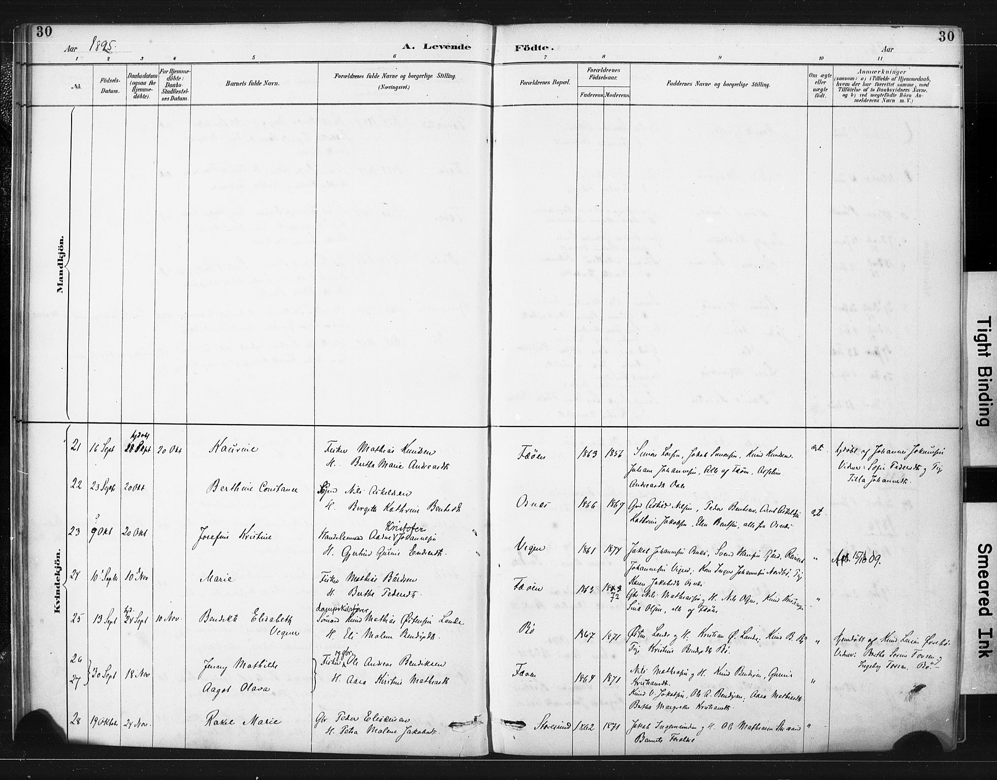 Torvastad sokneprestkontor, AV/SAST-A -101857/H/Ha/Haa/L0015: Parish register (official) no. A 14, 1888-1899, p. 30