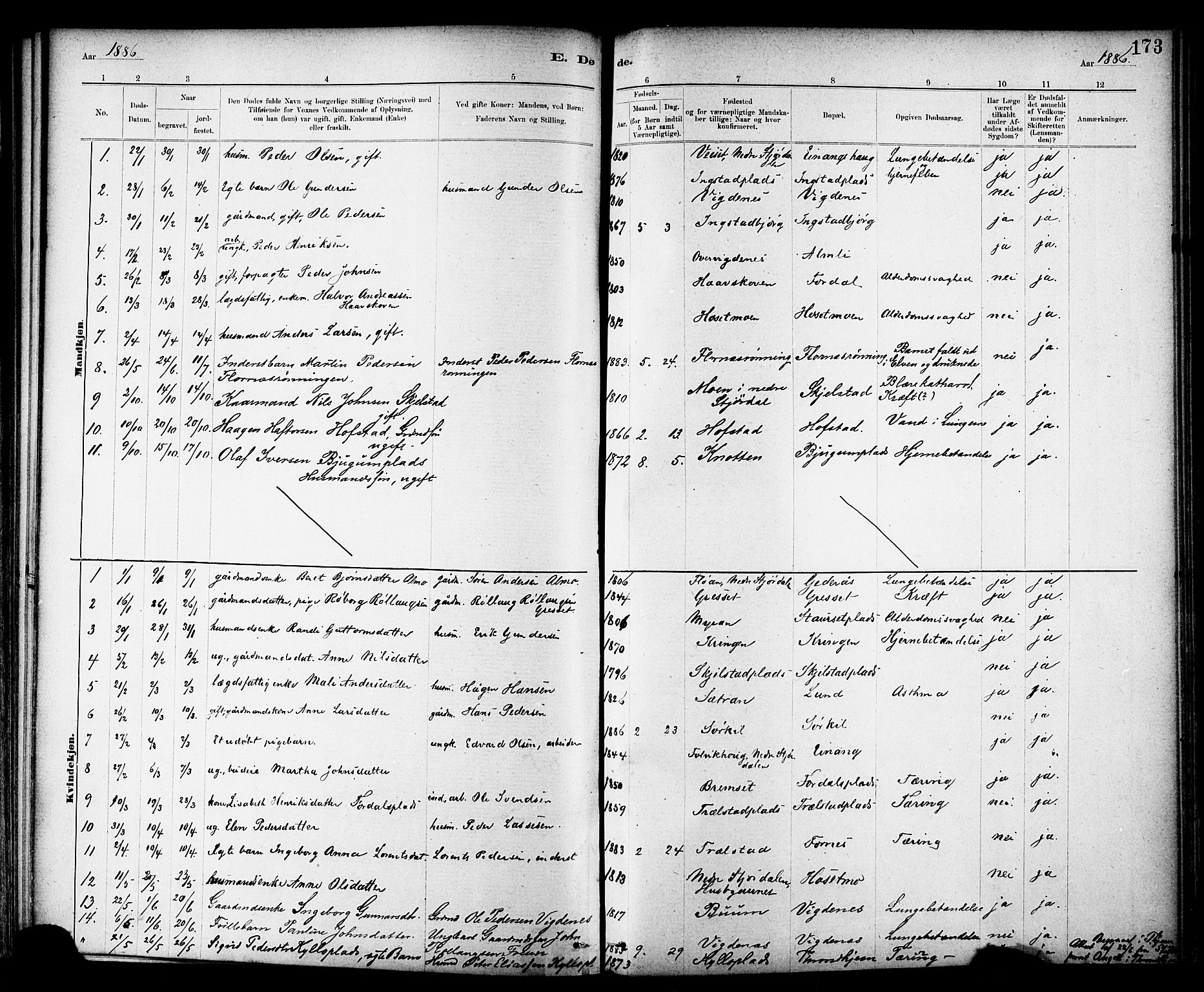 Ministerialprotokoller, klokkerbøker og fødselsregistre - Nord-Trøndelag, SAT/A-1458/703/L0030: Parish register (official) no. 703A03, 1880-1892, p. 173