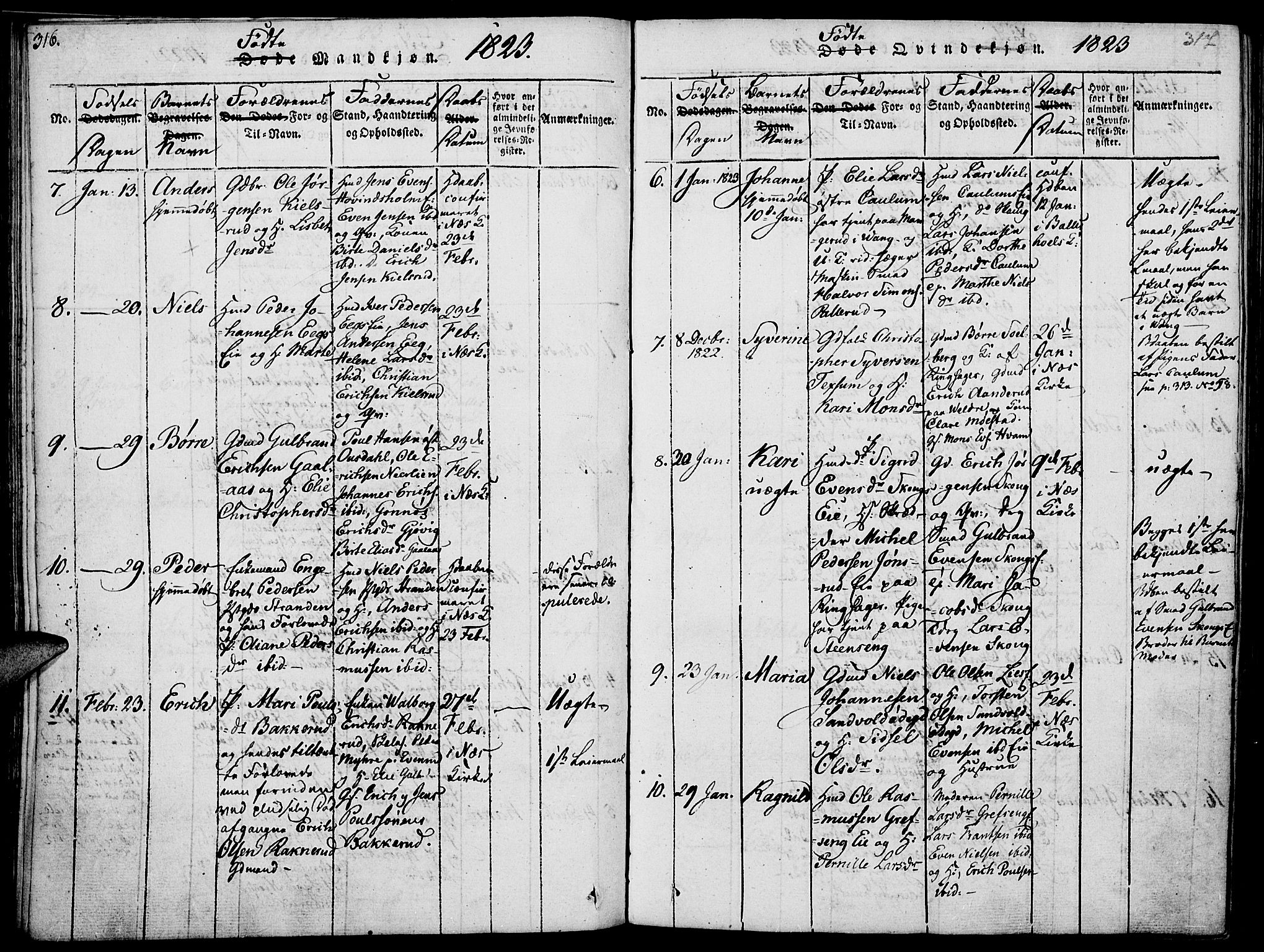 Nes prestekontor, Hedmark, AV/SAH-PREST-020/K/Ka/L0002: Parish register (official) no. 2, 1813-1827, p. 316-317