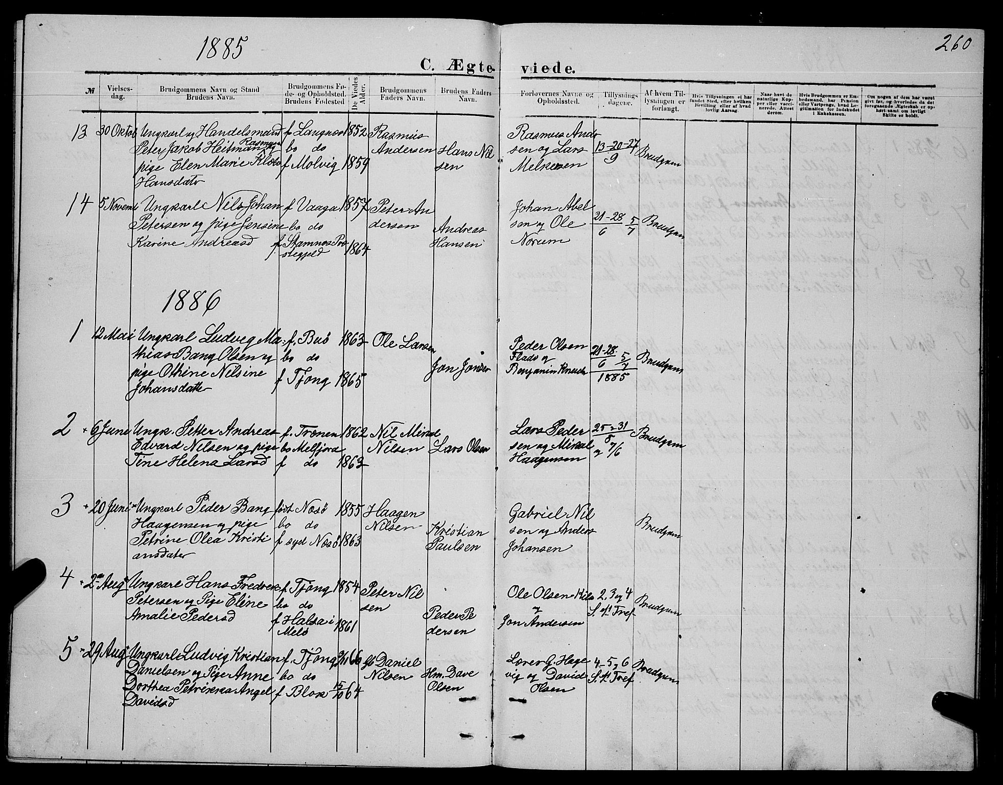 Ministerialprotokoller, klokkerbøker og fødselsregistre - Nordland, SAT/A-1459/841/L0620: Parish register (copy) no. 841C04, 1877-1896, p. 260
