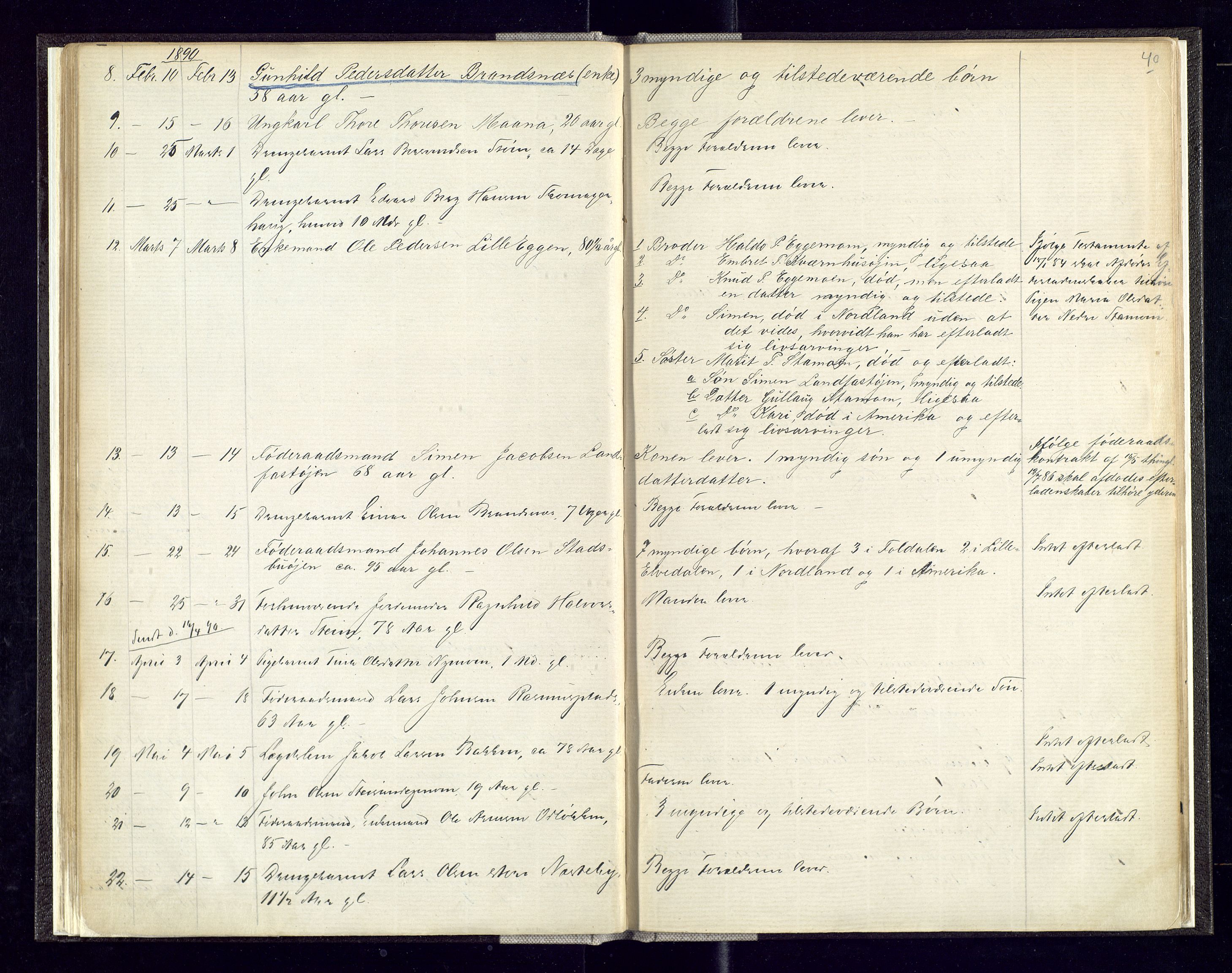 Alvdal og Folldal lensmannskontor, SAH/LHA-007/H/Ha/L0001: Dødsfallsprotokoll, 1875-1900, p. 40