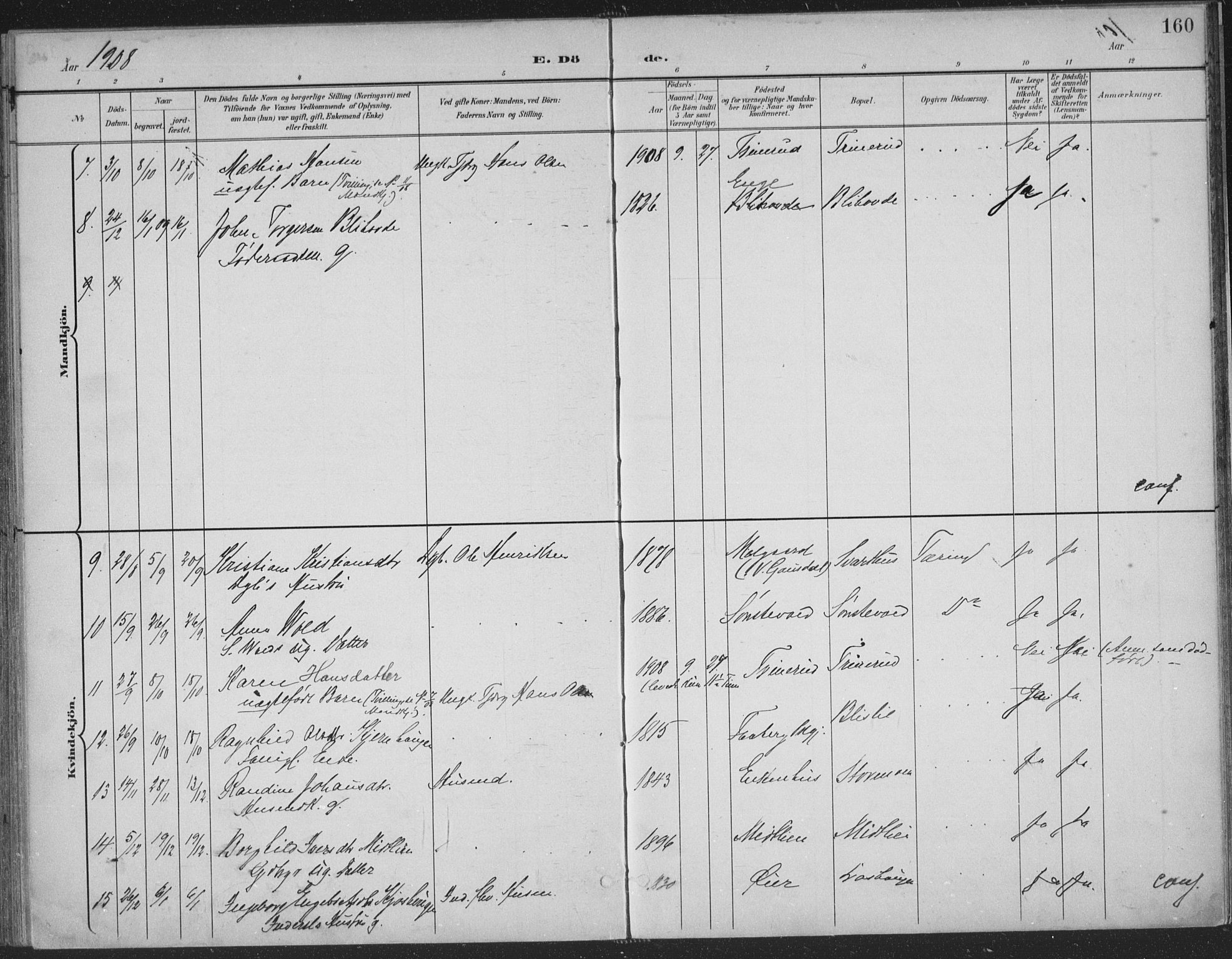 Østre Gausdal prestekontor, SAH/PREST-092/H/Ha/Haa/L0004: Parish register (official) no. 4, 1898-1914, p. 160