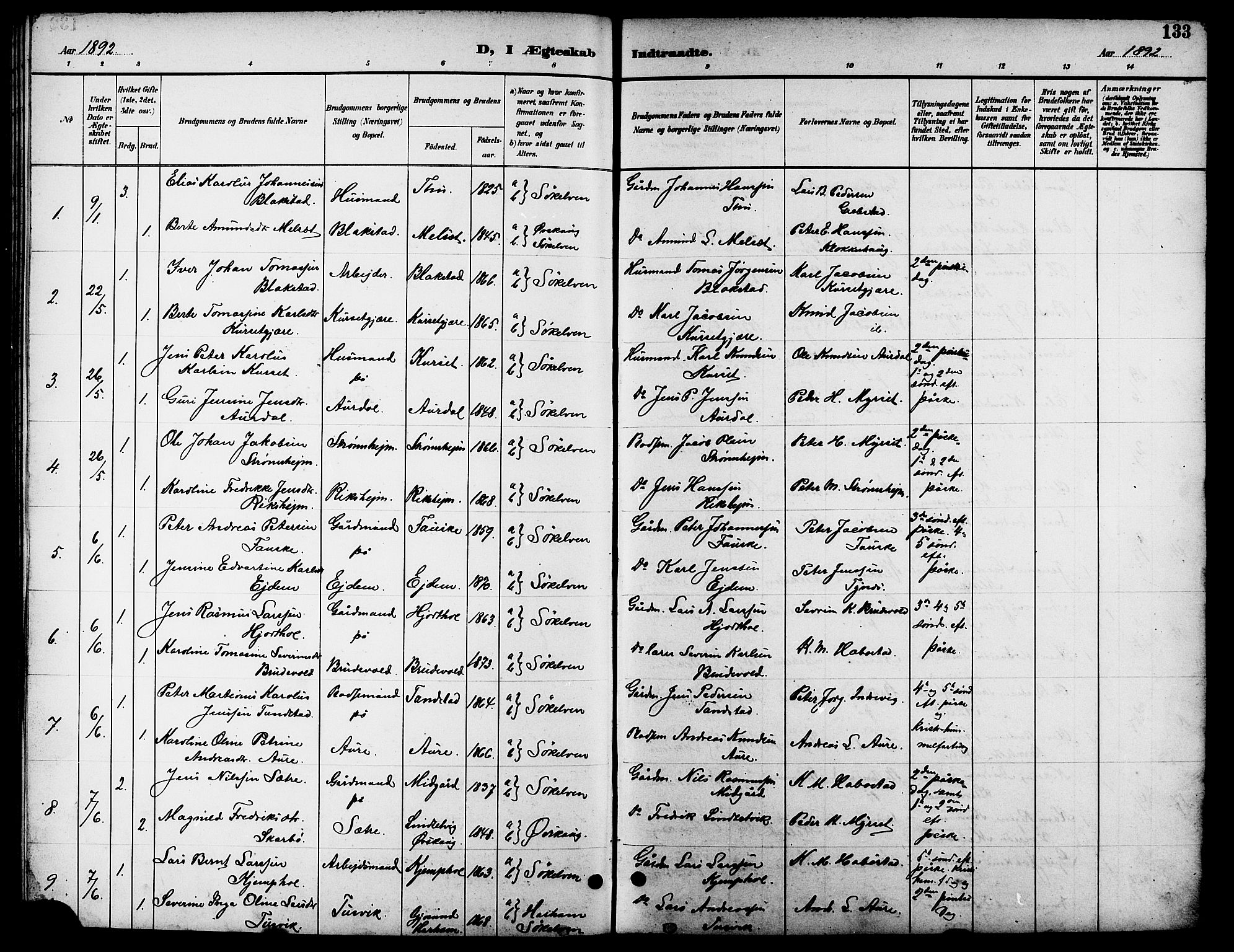 Ministerialprotokoller, klokkerbøker og fødselsregistre - Møre og Romsdal, SAT/A-1454/523/L0340: Parish register (copy) no. 523C03, 1892-1902, p. 133