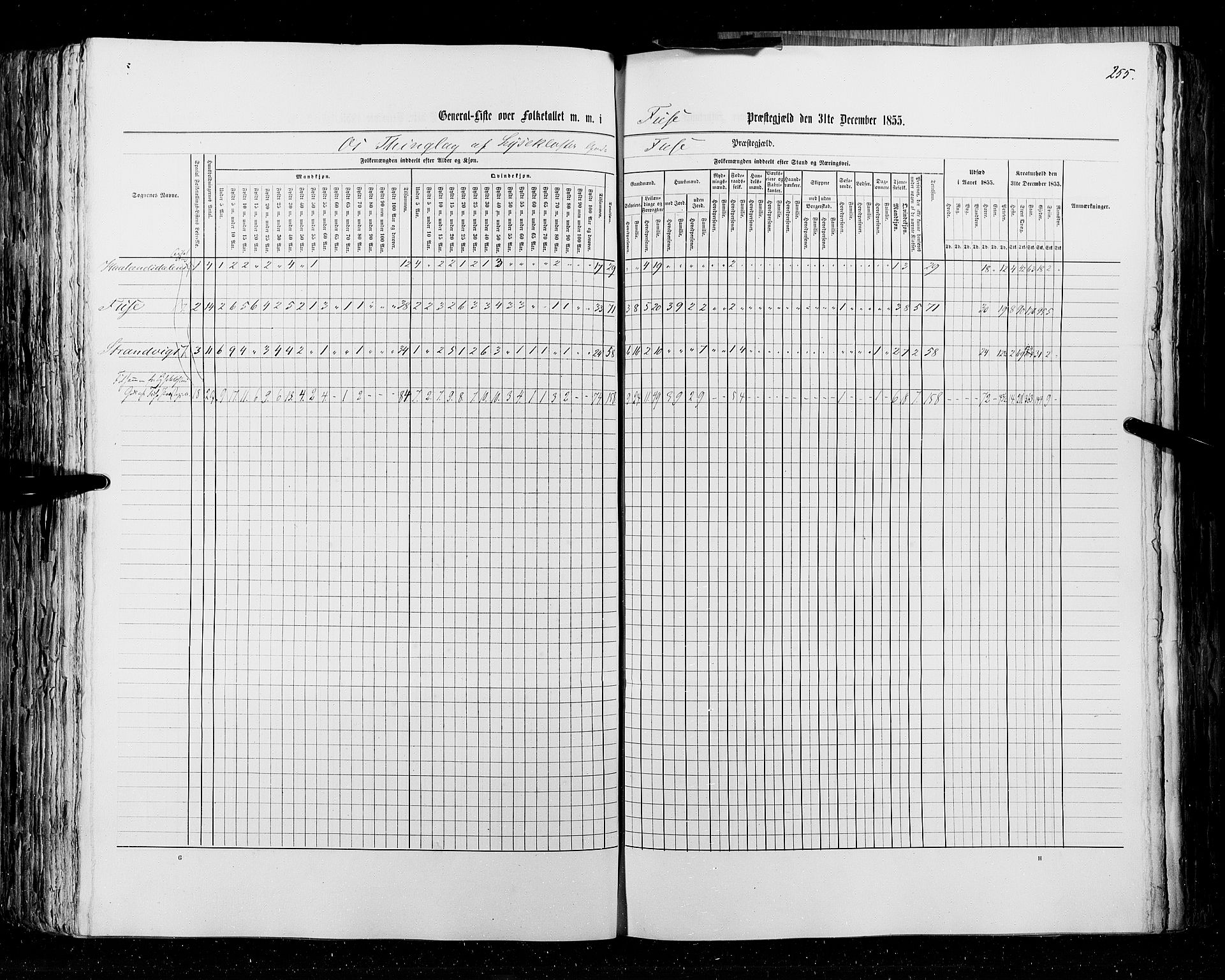 RA, Census 1855, vol. 4: Stavanger amt og Søndre Bergenhus amt, 1855, p. 255