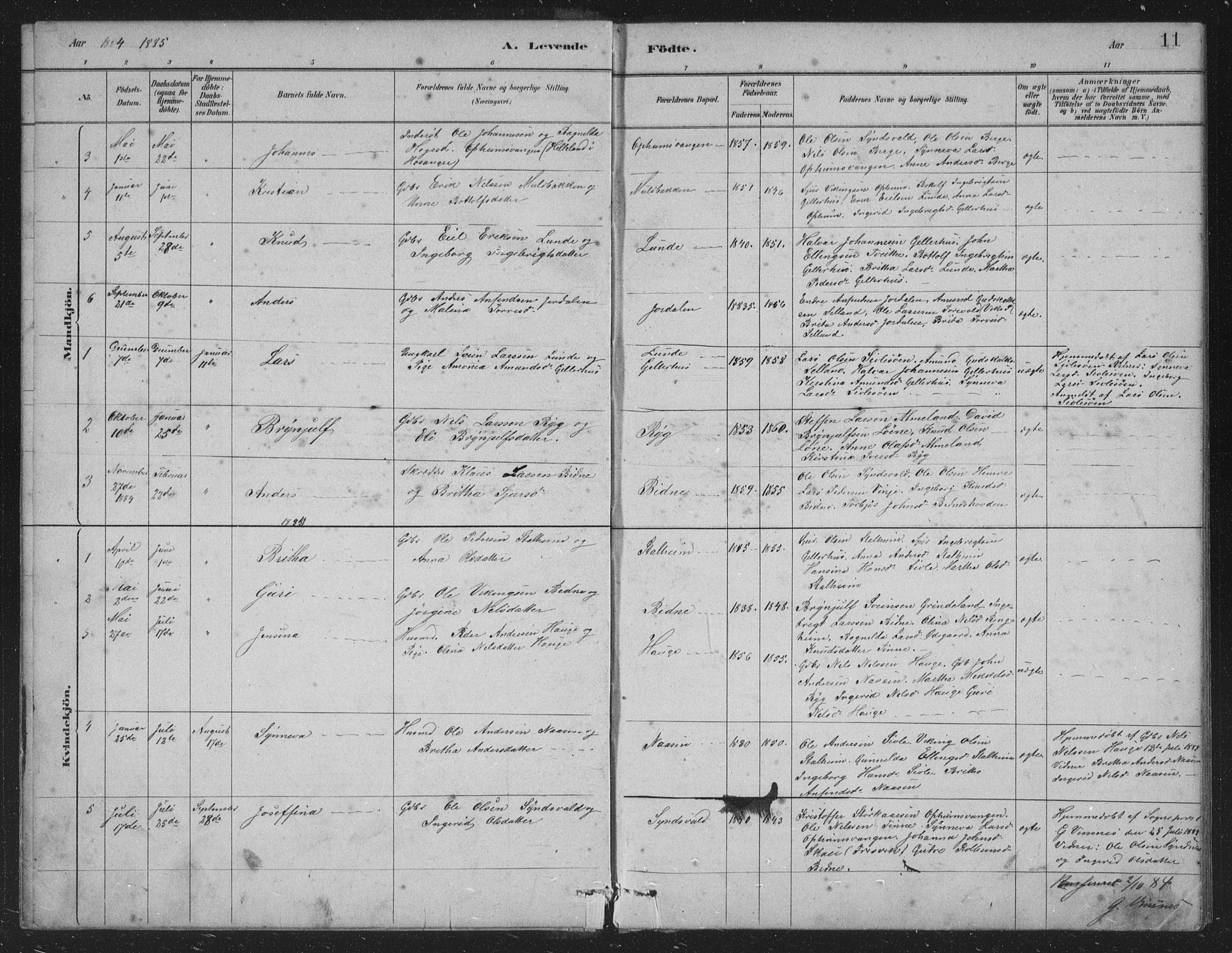Vossestrand Sokneprestembete, SAB/A-79101/H/Hab: Parish register (copy) no. A 2, 1880-1902, p. 11