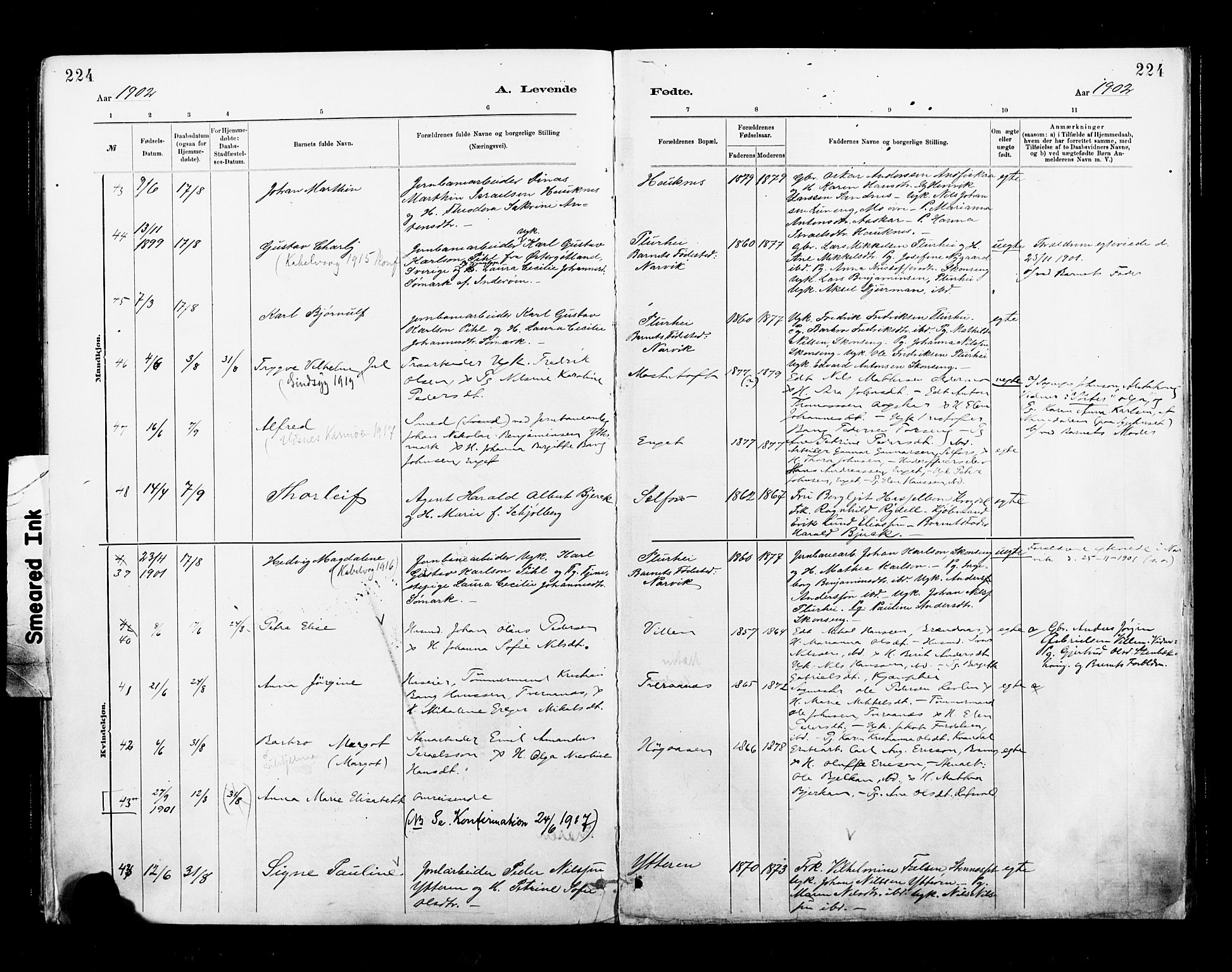 Ministerialprotokoller, klokkerbøker og fødselsregistre - Nordland, AV/SAT-A-1459/827/L0400: Parish register (official) no. 827A12, 1883-1903, p. 224