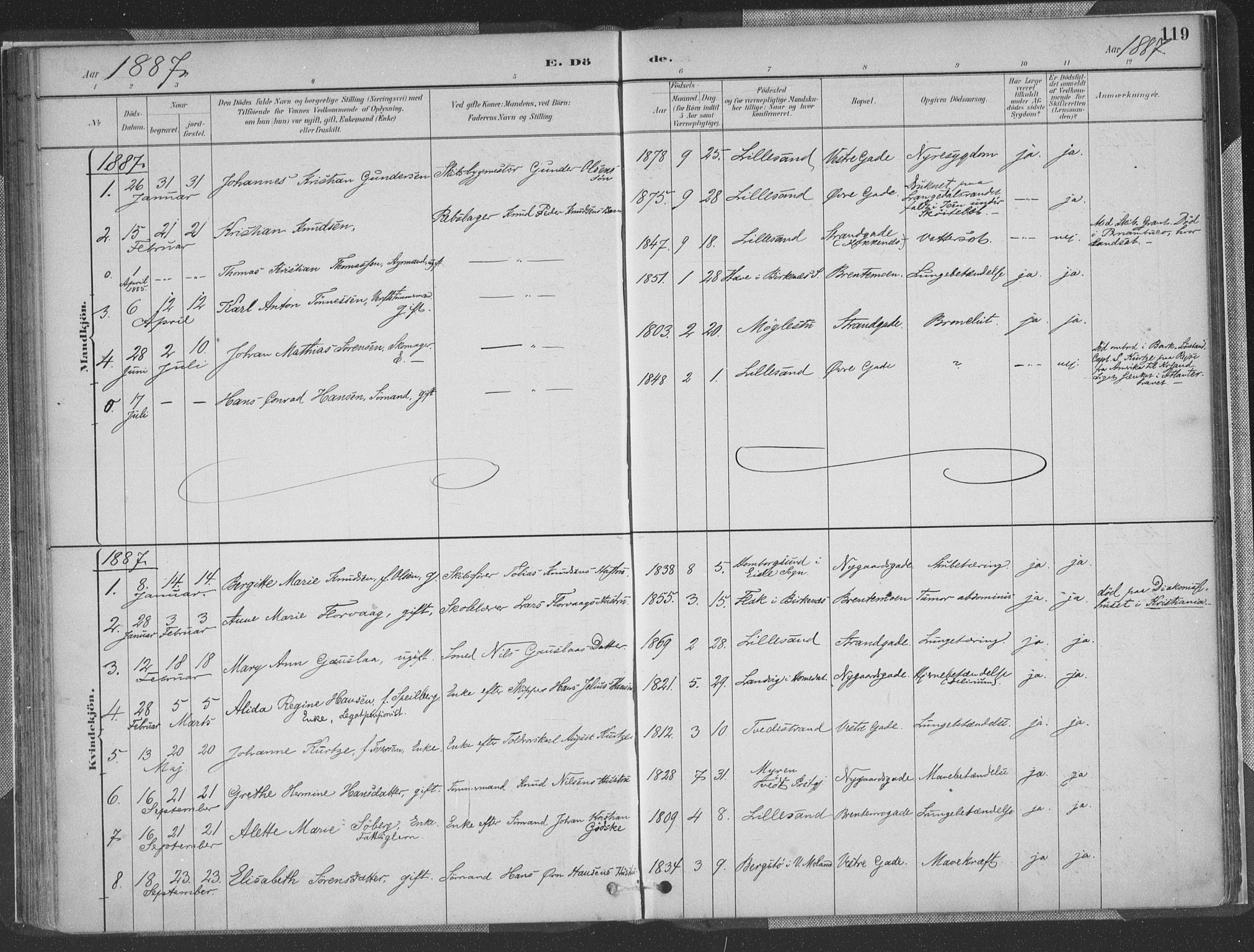 Vestre Moland sokneprestkontor, SAK/1111-0046/F/Fa/Faa/L0001: Parish register (official) no. A 1, 1884-1899, p. 119