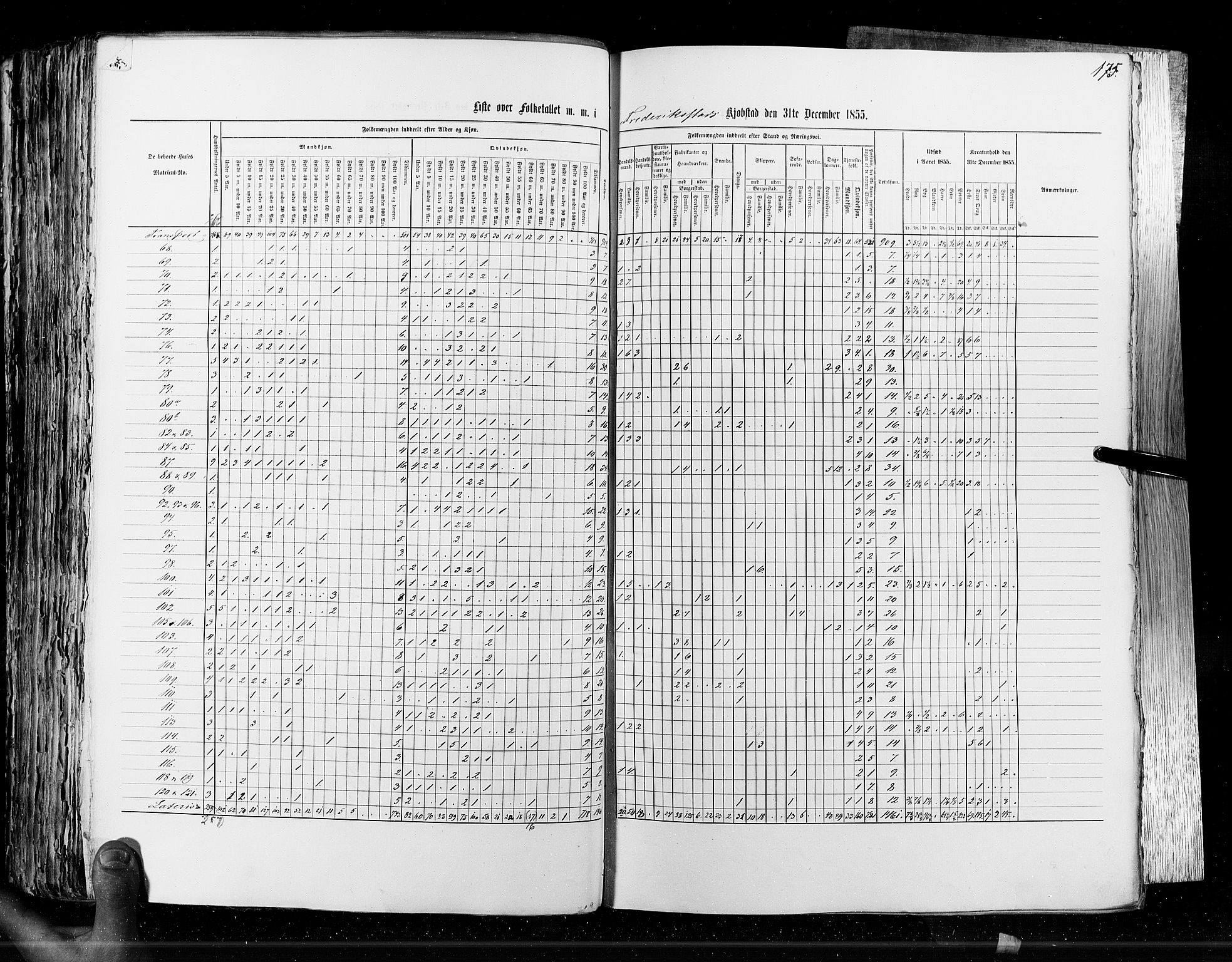 RA, Census 1855, vol. 7: Fredrikshald-Kragerø, 1855, p. 175