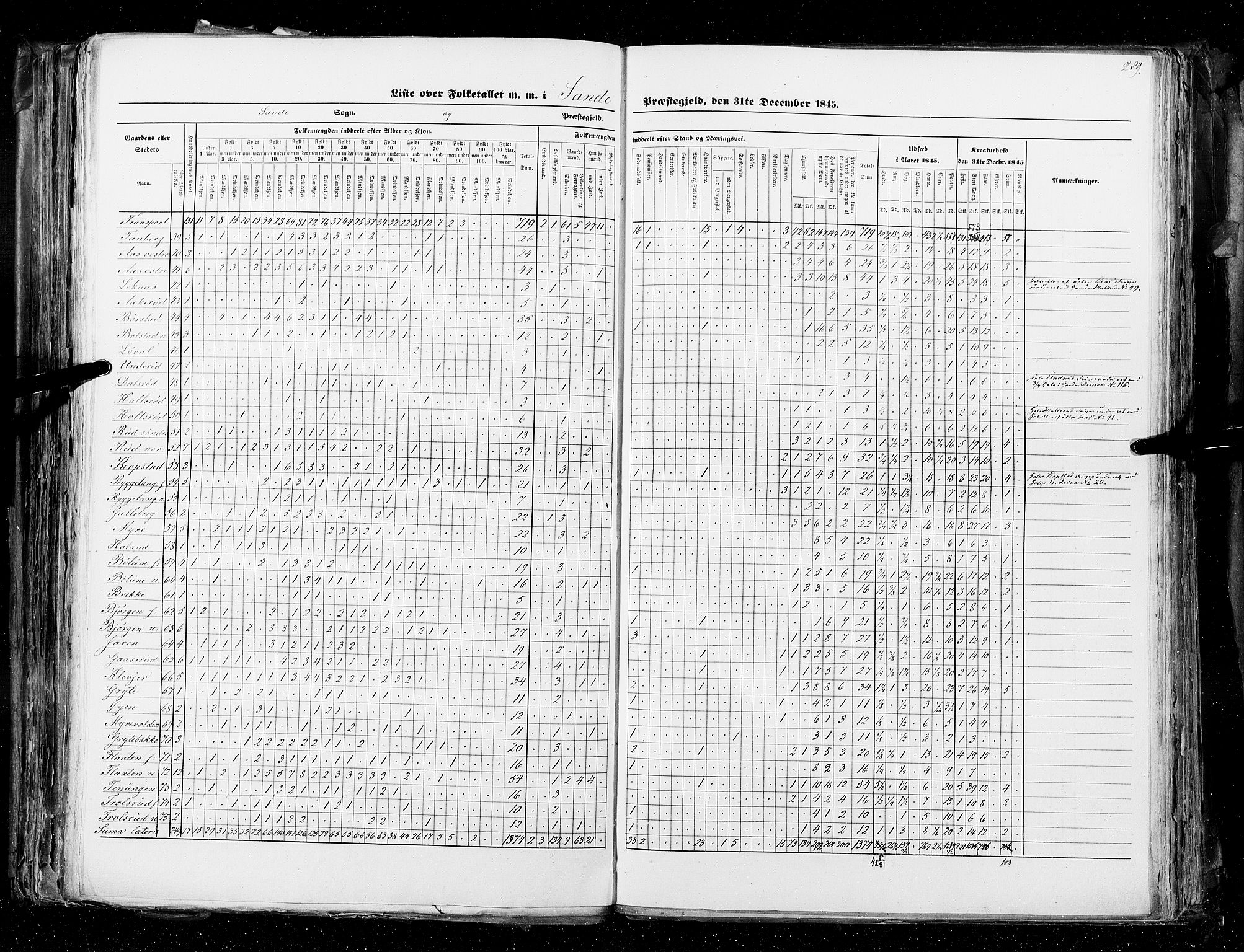 RA, Census 1845, vol. 4: Buskerud amt og Jarlsberg og Larvik amt, 1845, p. 289