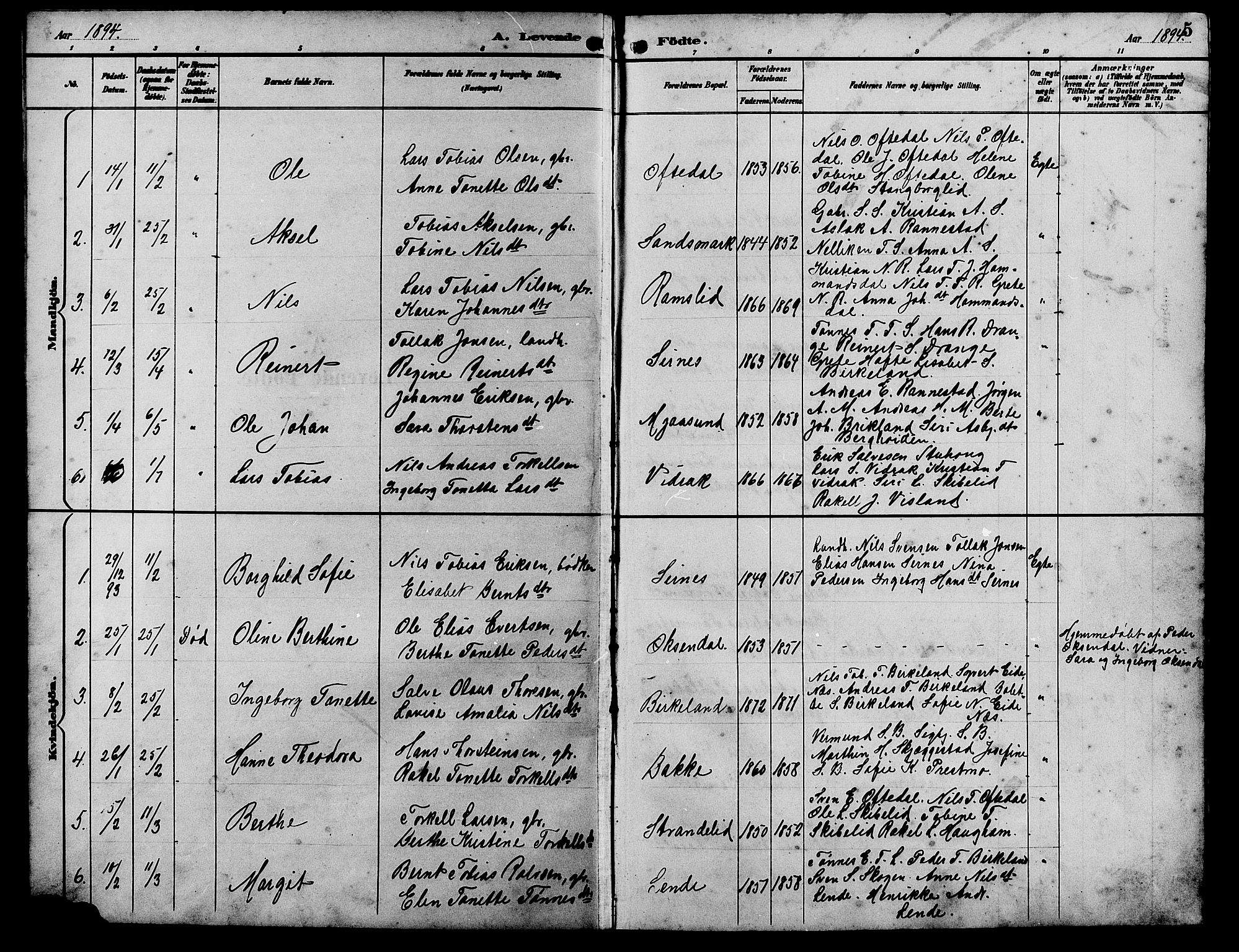 Bakke sokneprestkontor, SAK/1111-0002/F/Fb/Fba/L0003: Parish register (copy) no. B 3, 1894-1910, p. 5