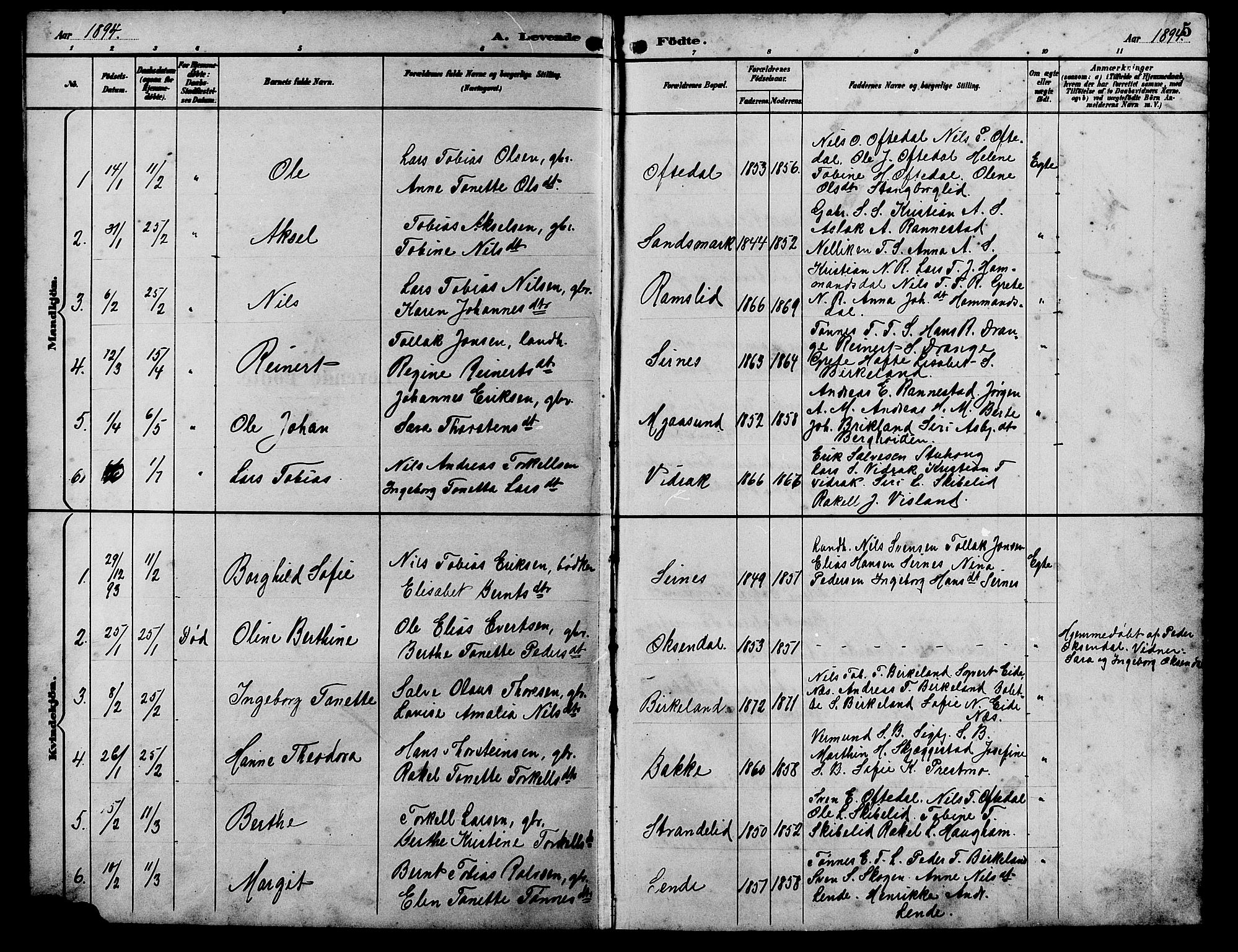 Bakke sokneprestkontor, AV/SAK-1111-0002/F/Fb/Fba/L0003: Parish register (copy) no. B 3, 1894-1910, p. 5