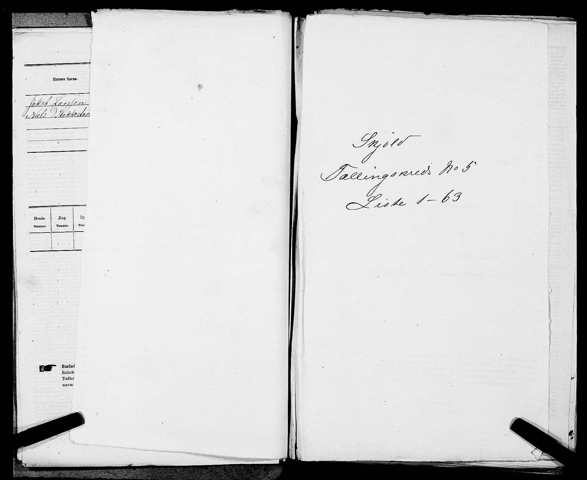 SAST, 1875 census for 1154P Skjold, 1875, p. 384