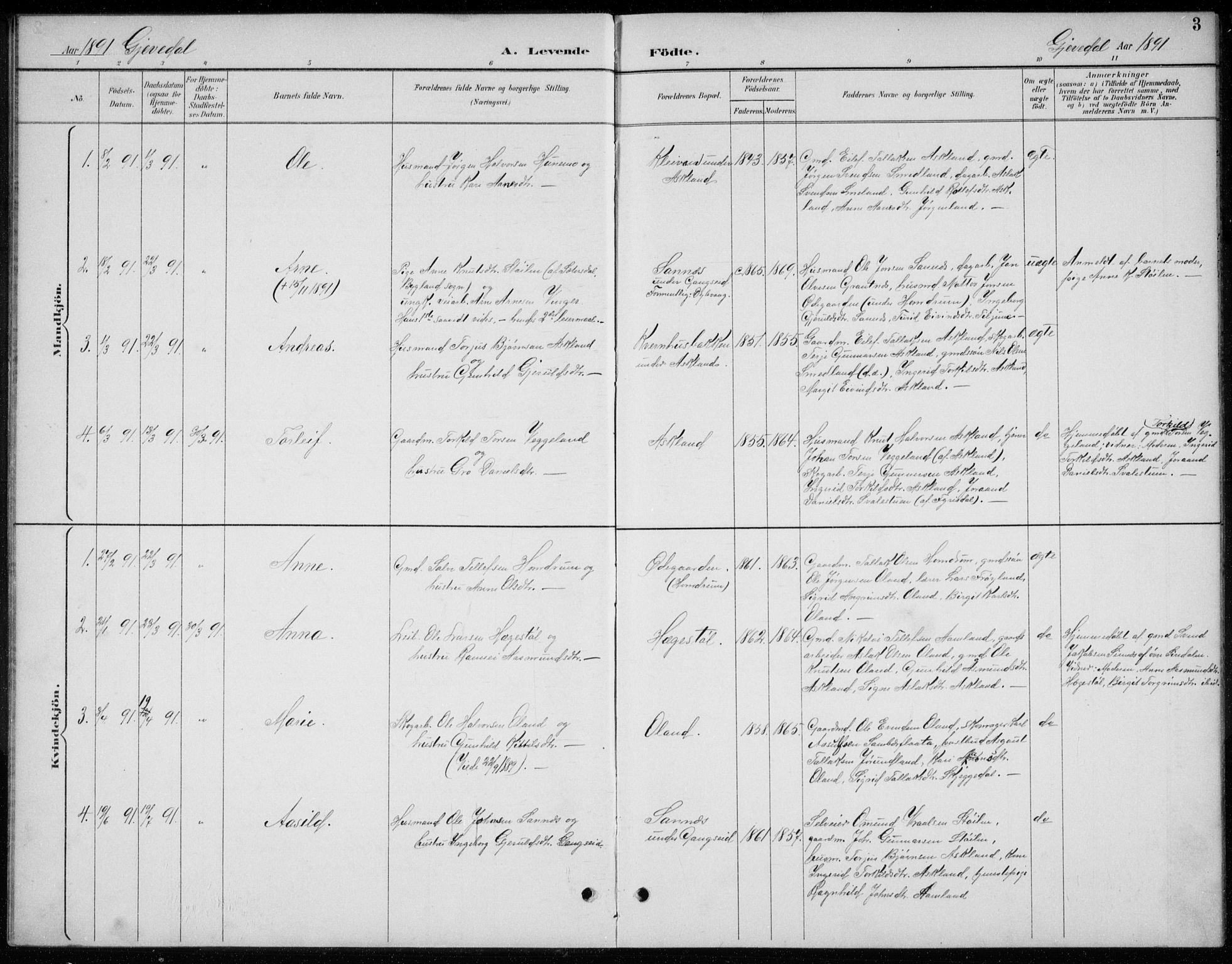 Åmli sokneprestkontor, AV/SAK-1111-0050/F/Fb/Fba/L0002: Parish register (copy) no. B 2, 1890-1912, p. 3