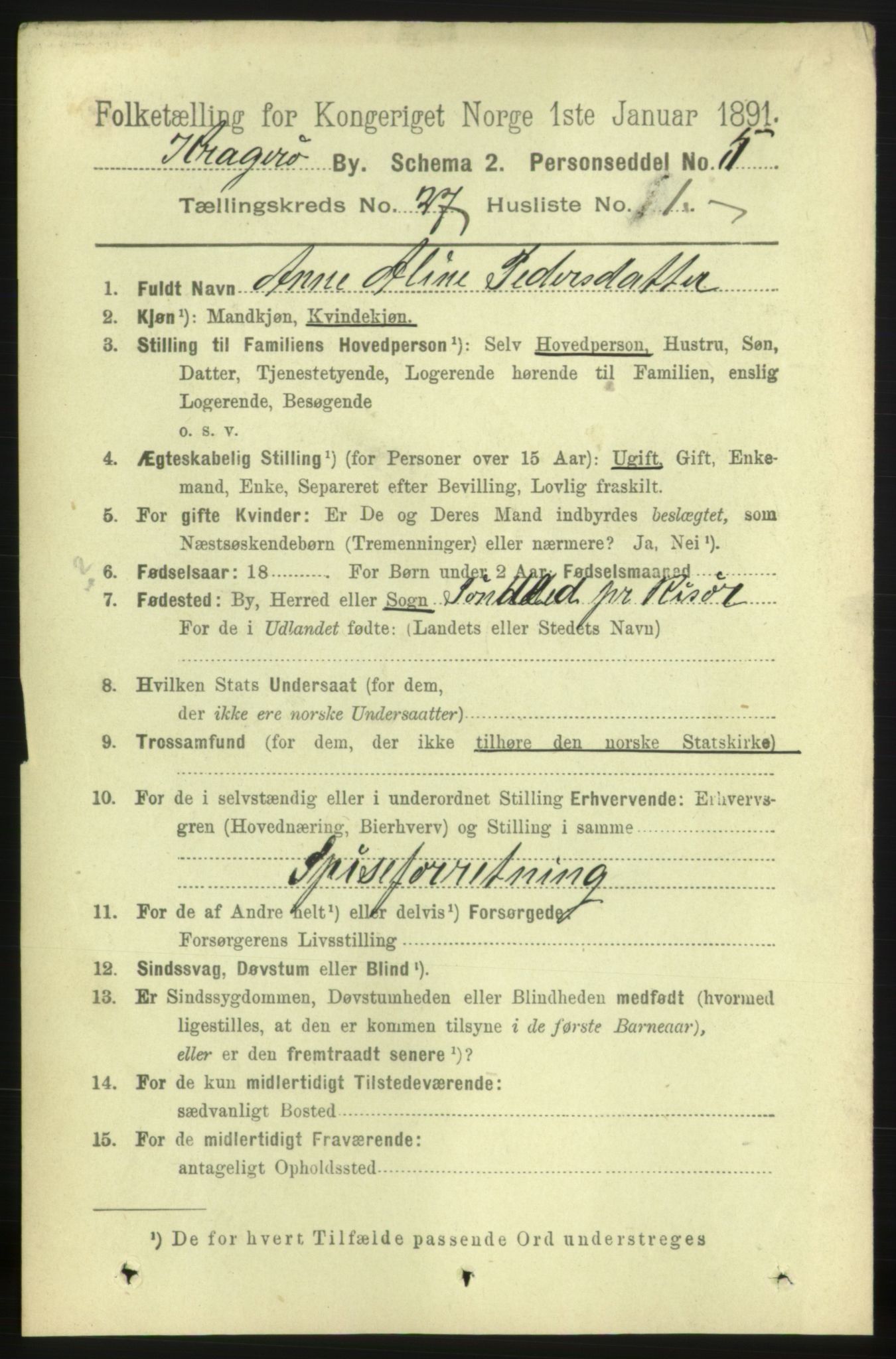 RA, 1891 census for 0801 Kragerø, 1891, p. 5294