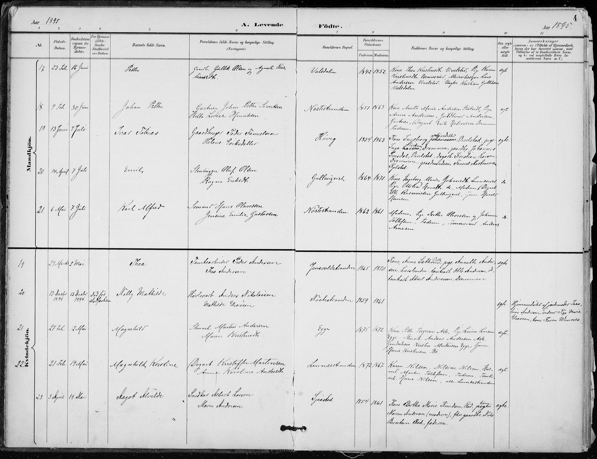 Lier kirkebøker, SAKO/A-230/F/Fa/L0016: Parish register (official) no. I 16, 1895-1900, p. 4