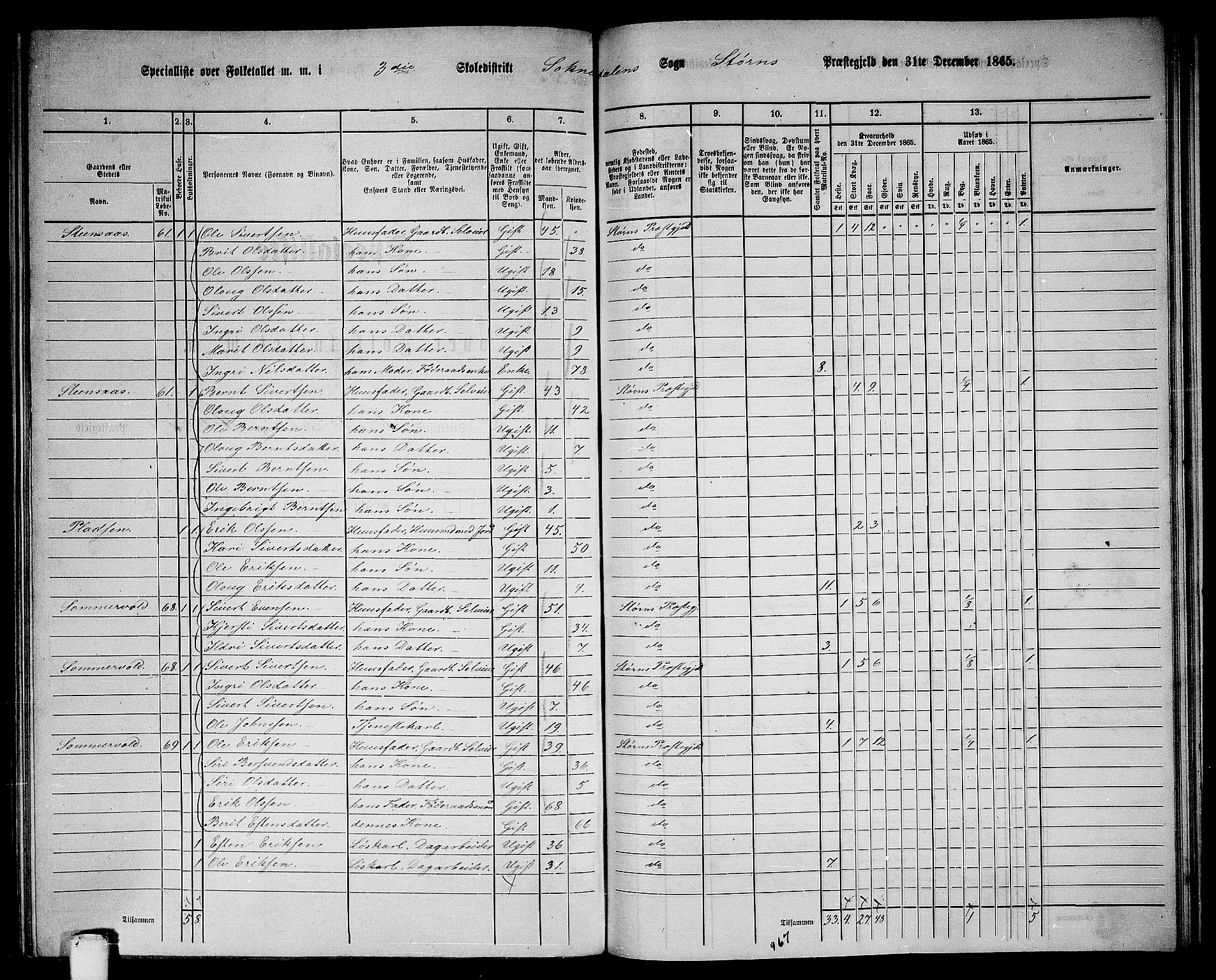 RA, 1865 census for Støren, 1865, p. 255