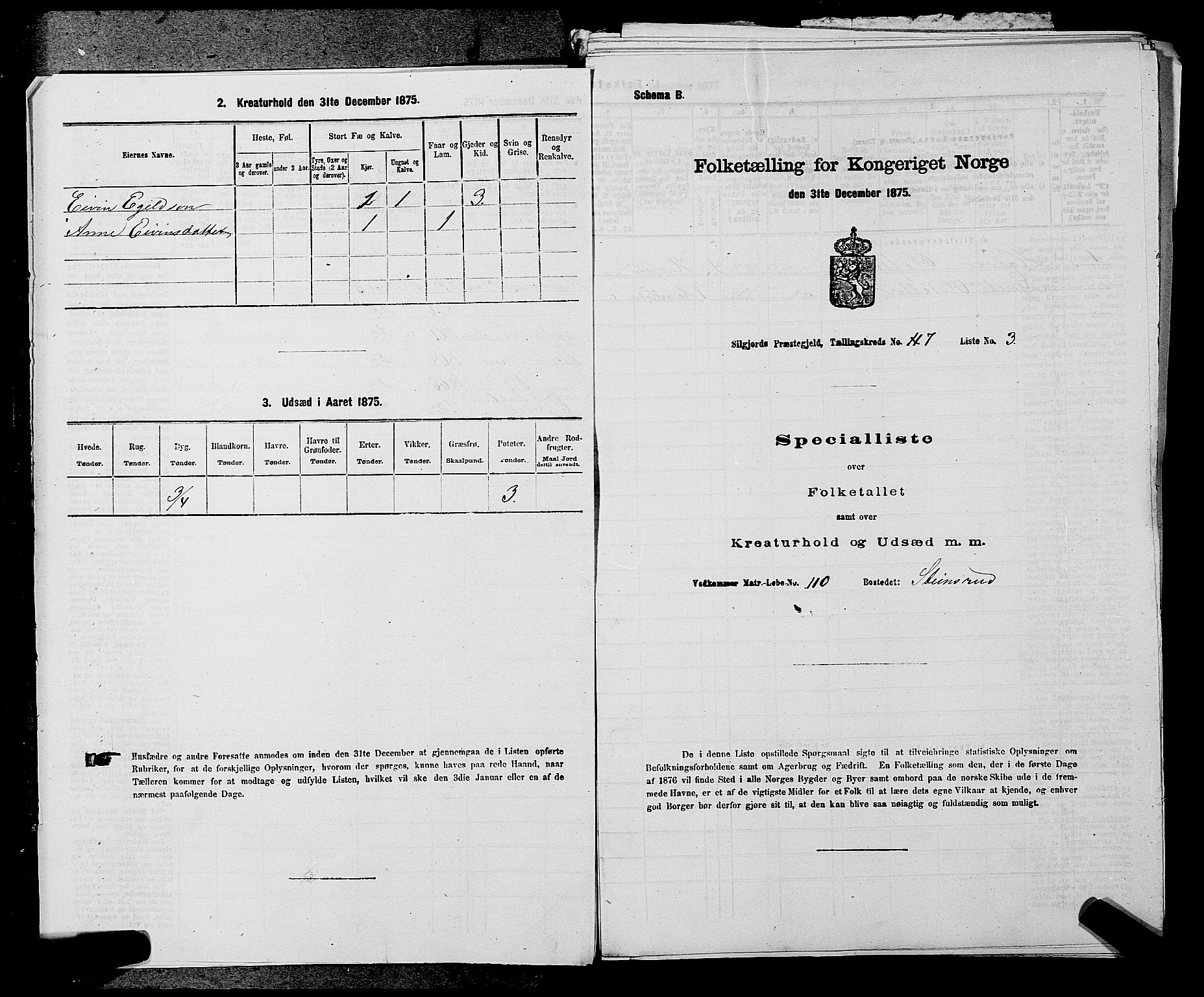 SAKO, 1875 census for 0828P Seljord, 1875, p. 821