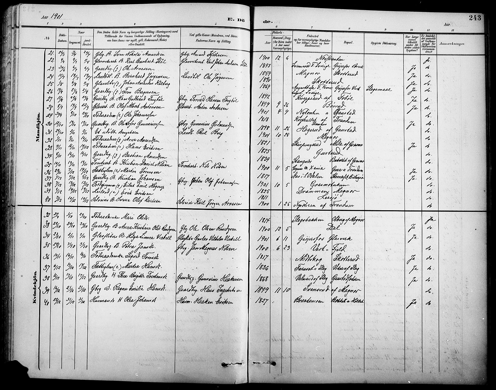 Eidskog prestekontor, AV/SAH-PREST-026/H/Ha/Hab/L0001: Parish register (copy) no. 1, 1895-1917, p. 243