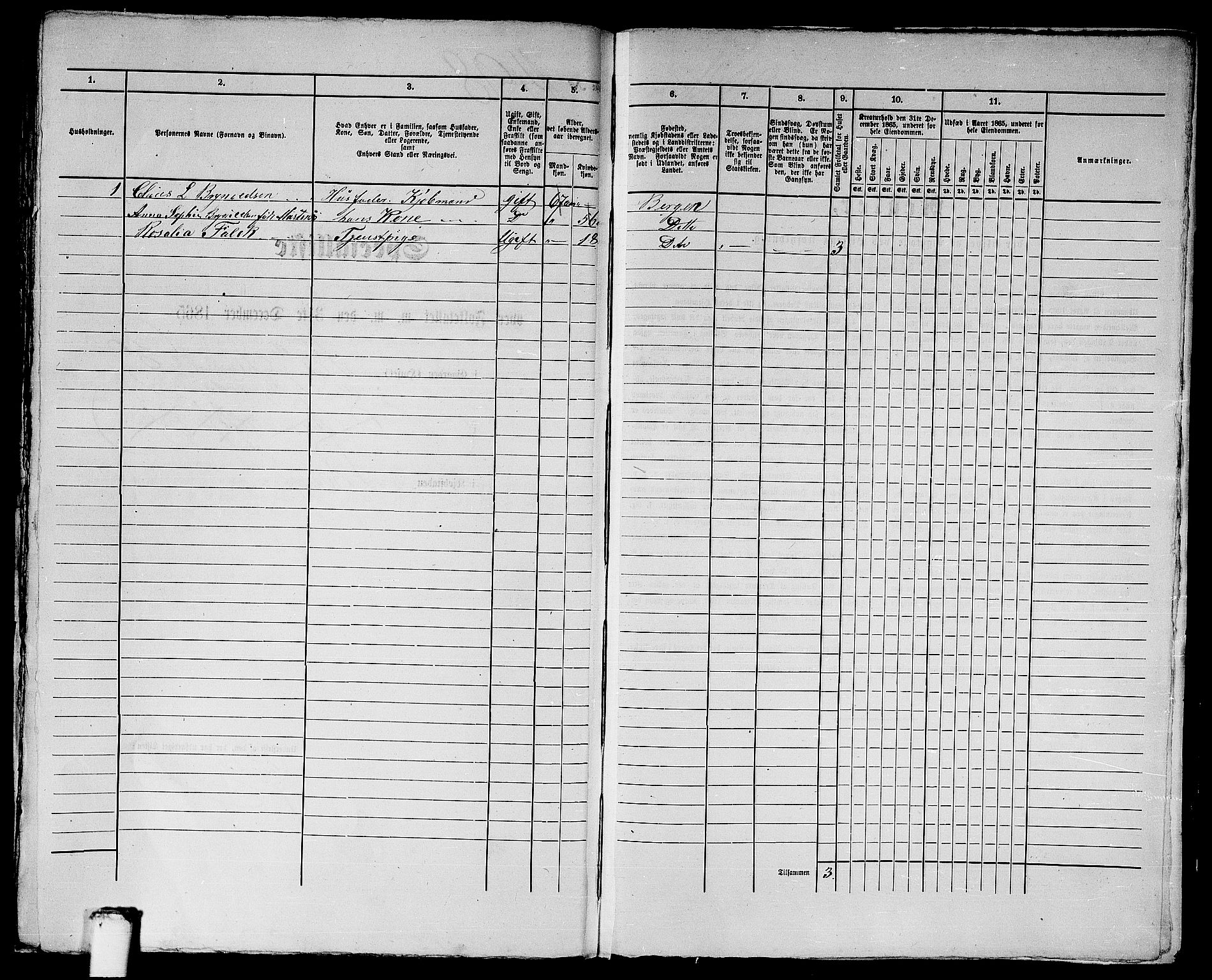 RA, 1865 census for Bergen, 1865, p. 3062