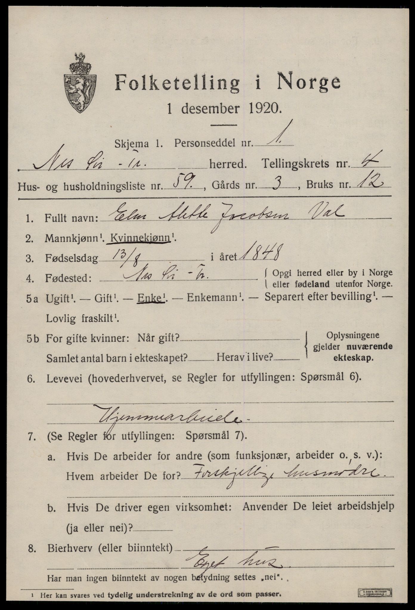 SAT, 1920 census for Nes (ST), 1920, p. 2877