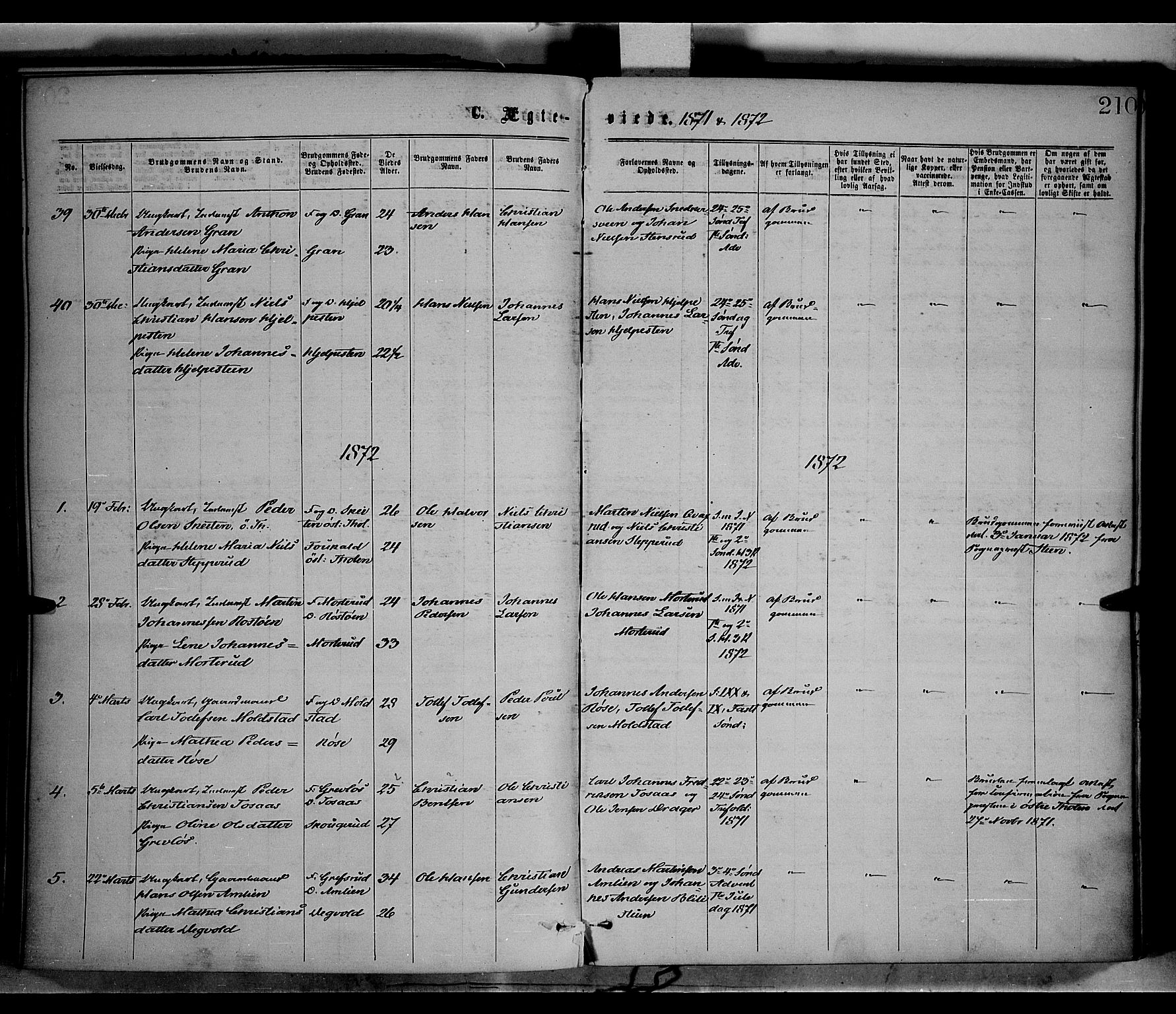Vestre Toten prestekontor, SAH/PREST-108/H/Ha/Haa/L0008: Parish register (official) no. 8, 1870-1877, p. 210