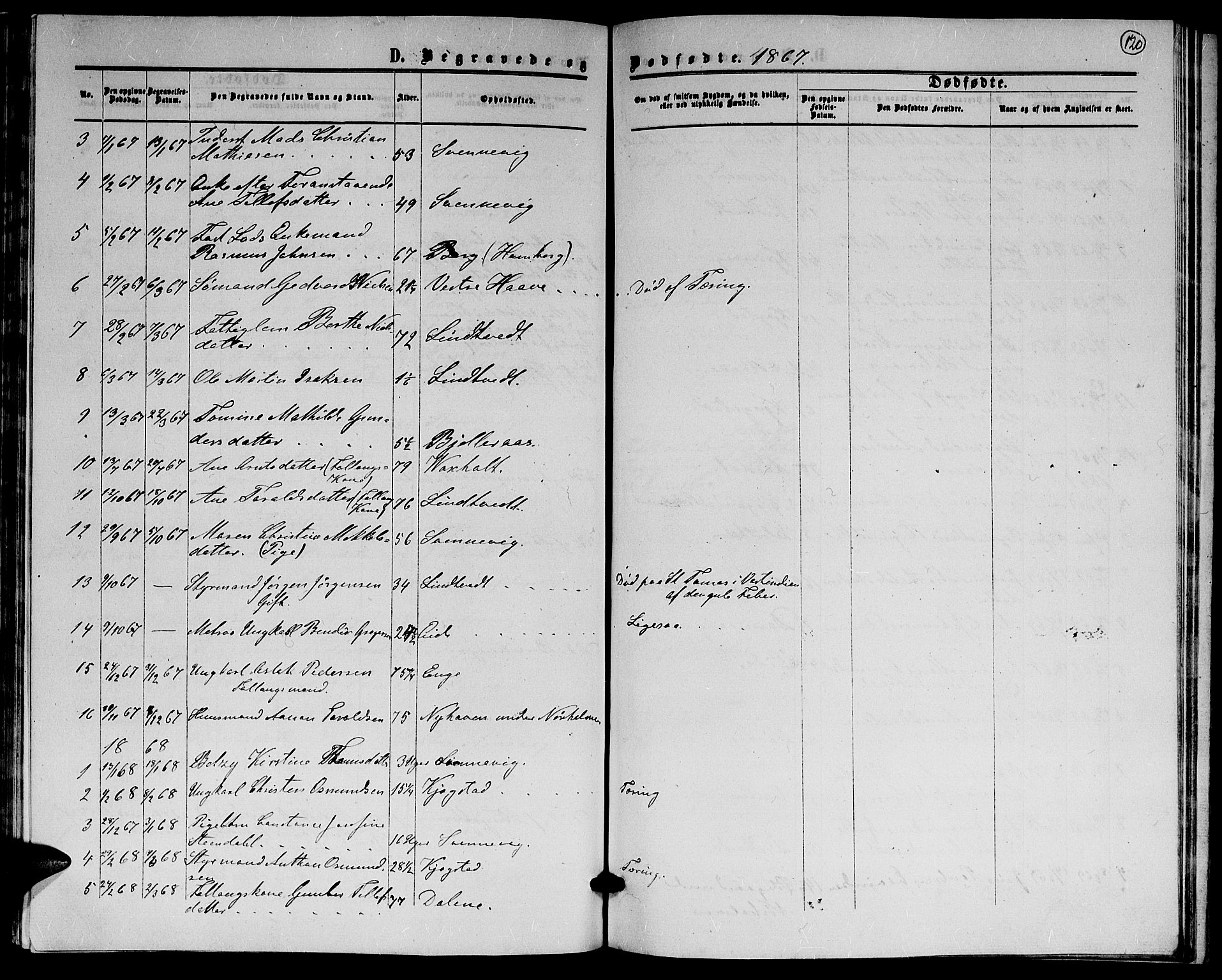 Hommedal sokneprestkontor, AV/SAK-1111-0023/F/Fb/Fba/L0003: Parish register (copy) no. B 3, 1863-1884, p. 120