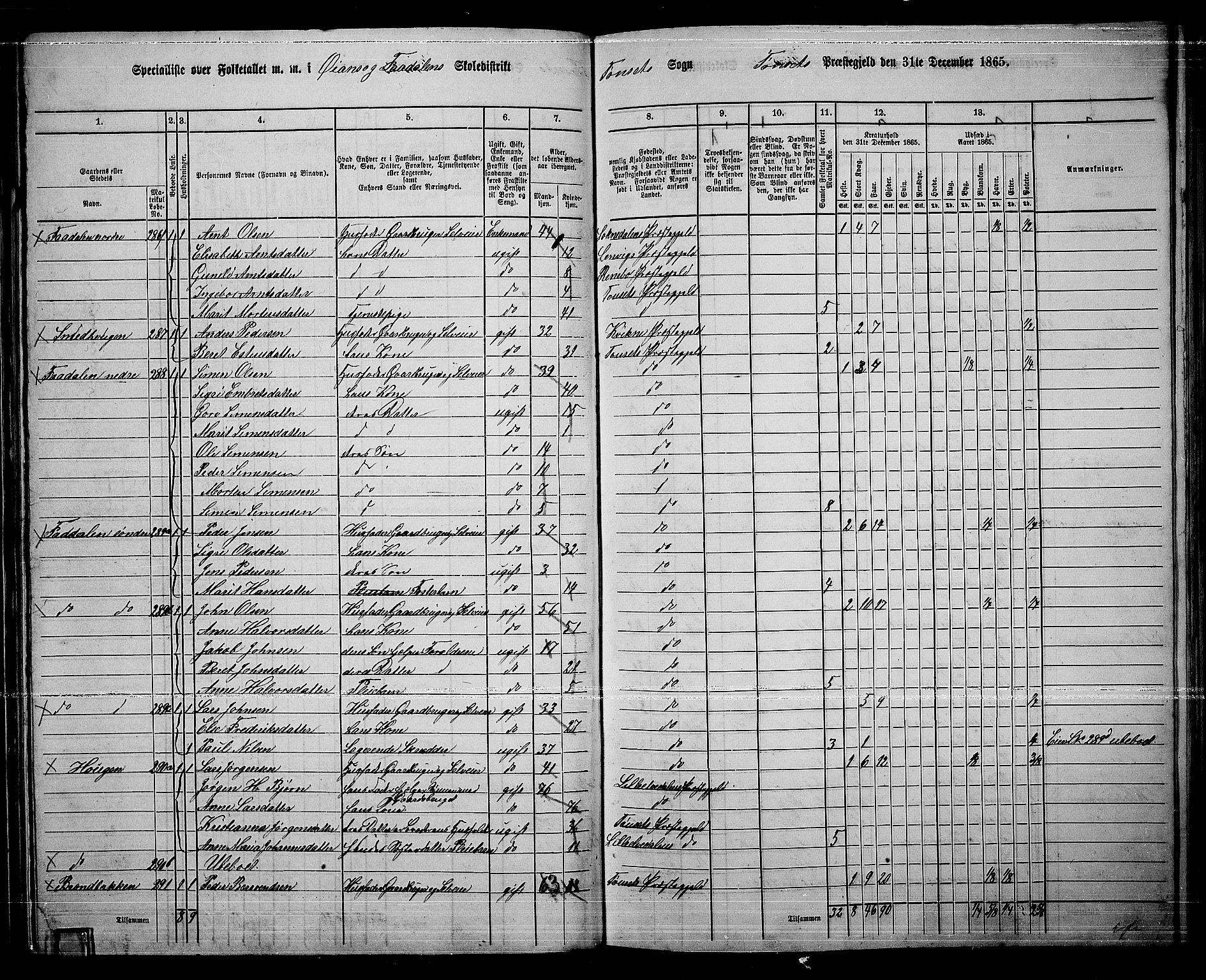 RA, 1865 census for Tynset, 1865, p. 76