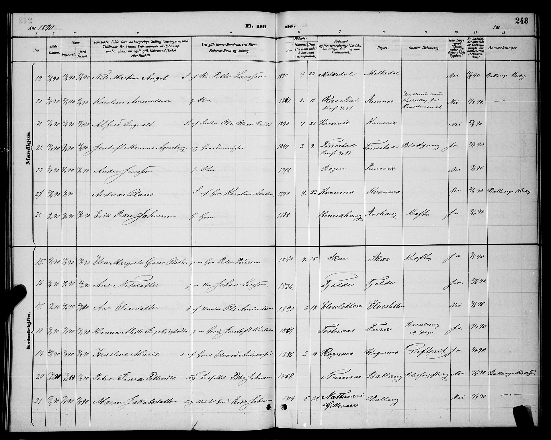 Ministerialprotokoller, klokkerbøker og fødselsregistre - Nordland, AV/SAT-A-1459/863/L0914: Parish register (copy) no. 863C04, 1886-1897, p. 243