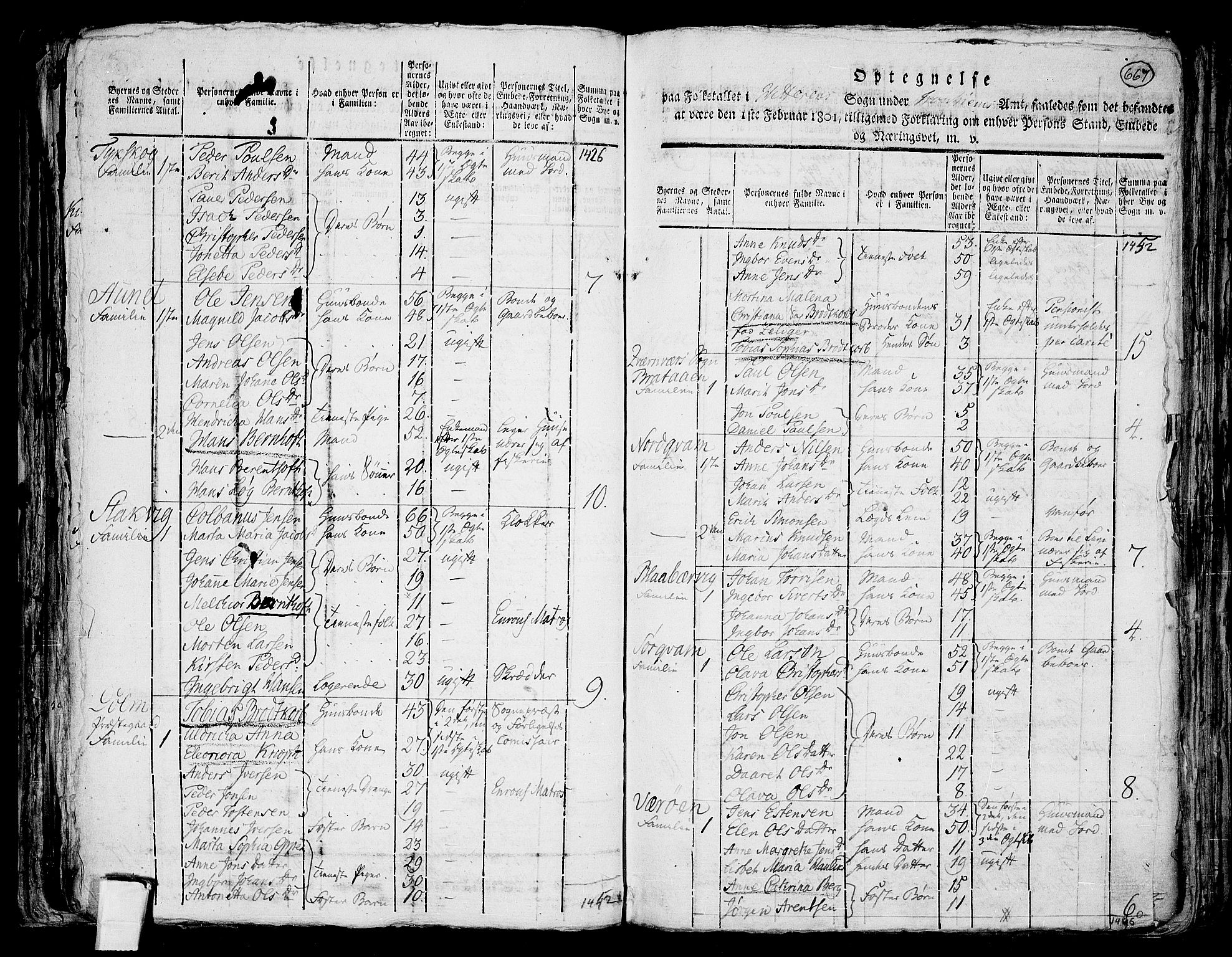 RA, 1801 census for 1617P Hitra, 1801, p. 666b-667a