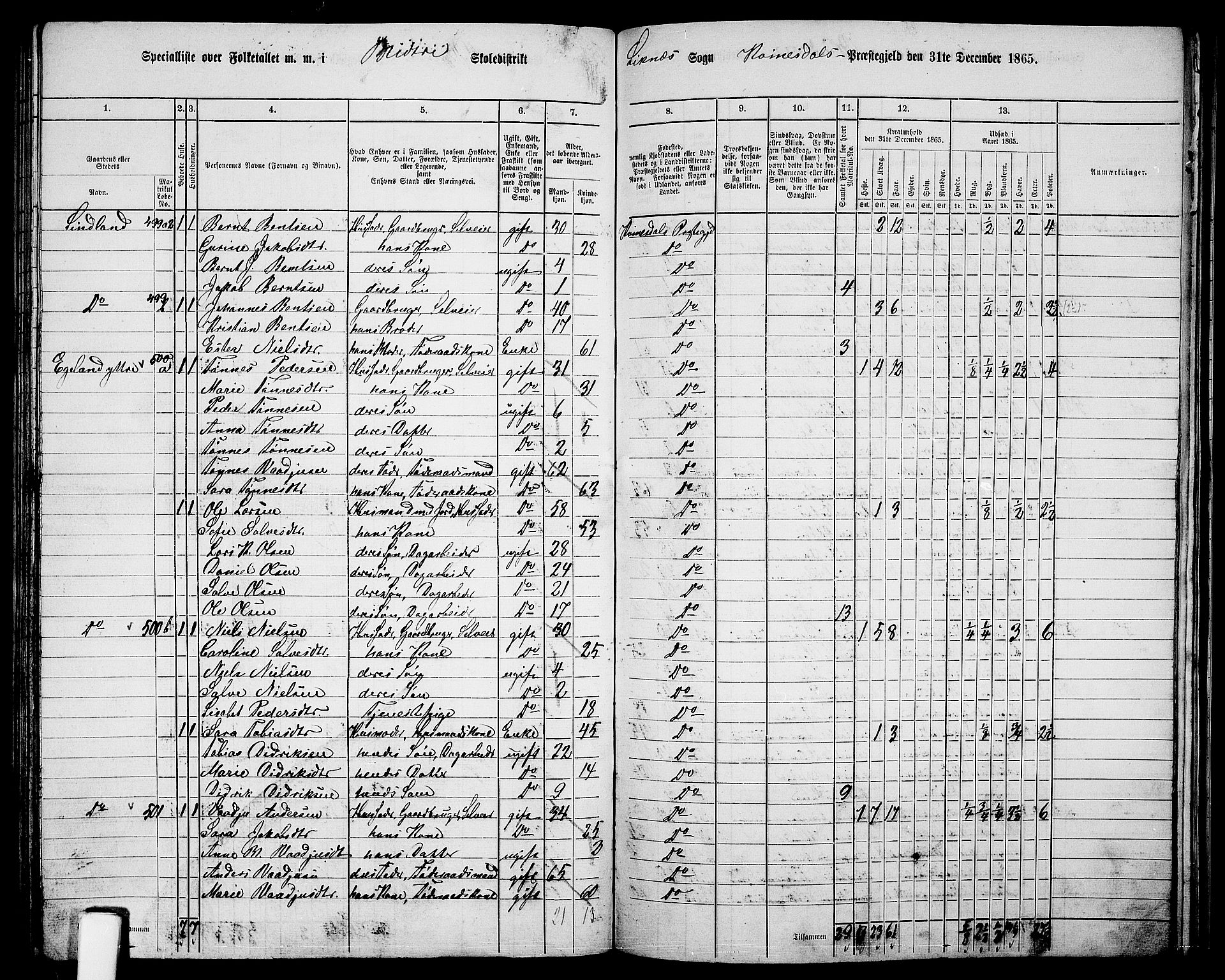 RA, 1865 census for Kvinesdal, 1865, p. 132